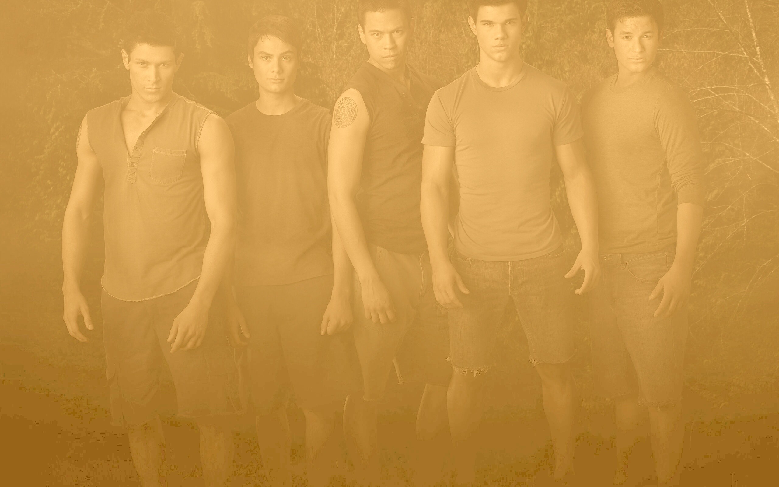 Оборотни из Сумерек обои