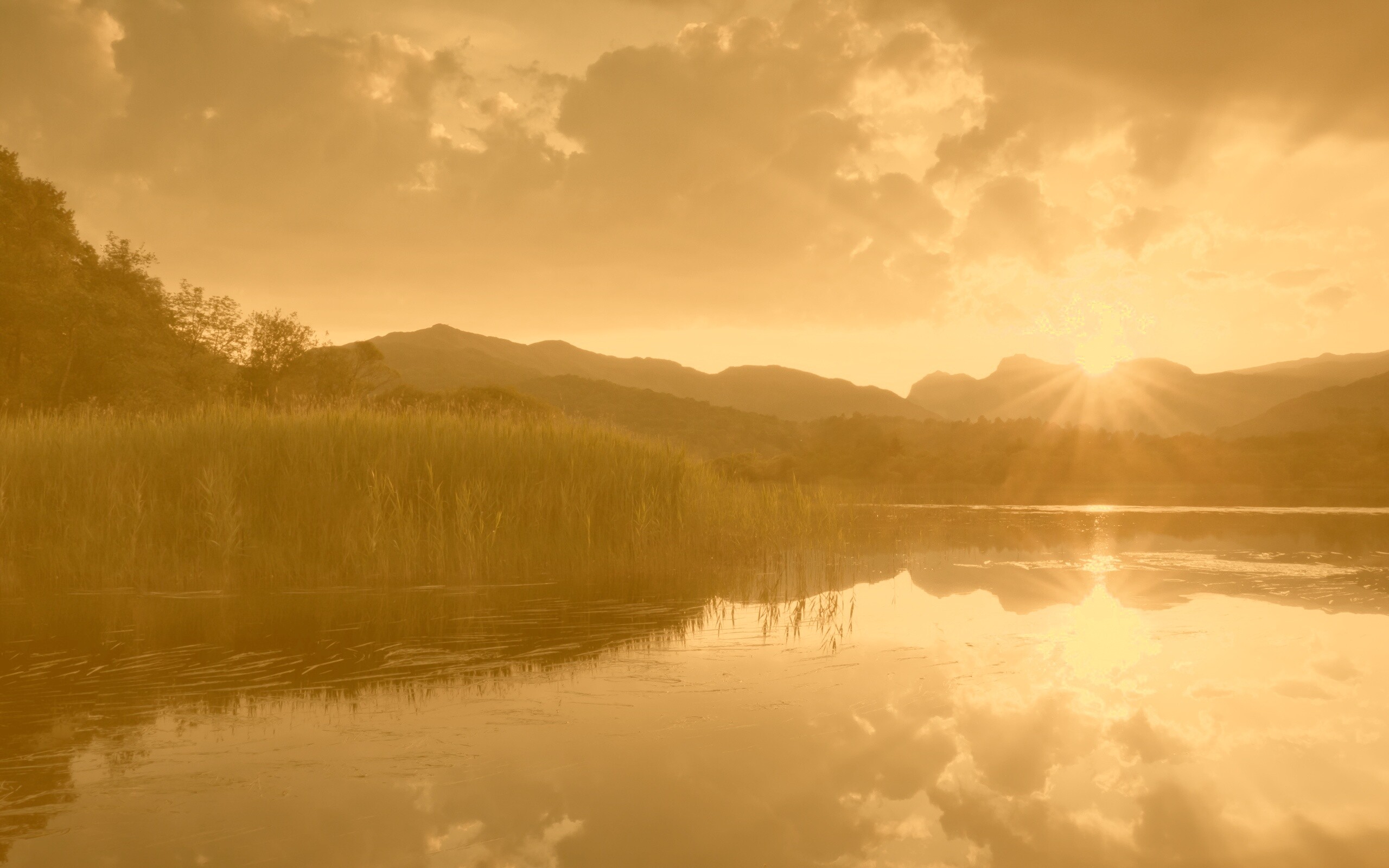 Закат за лесом обои