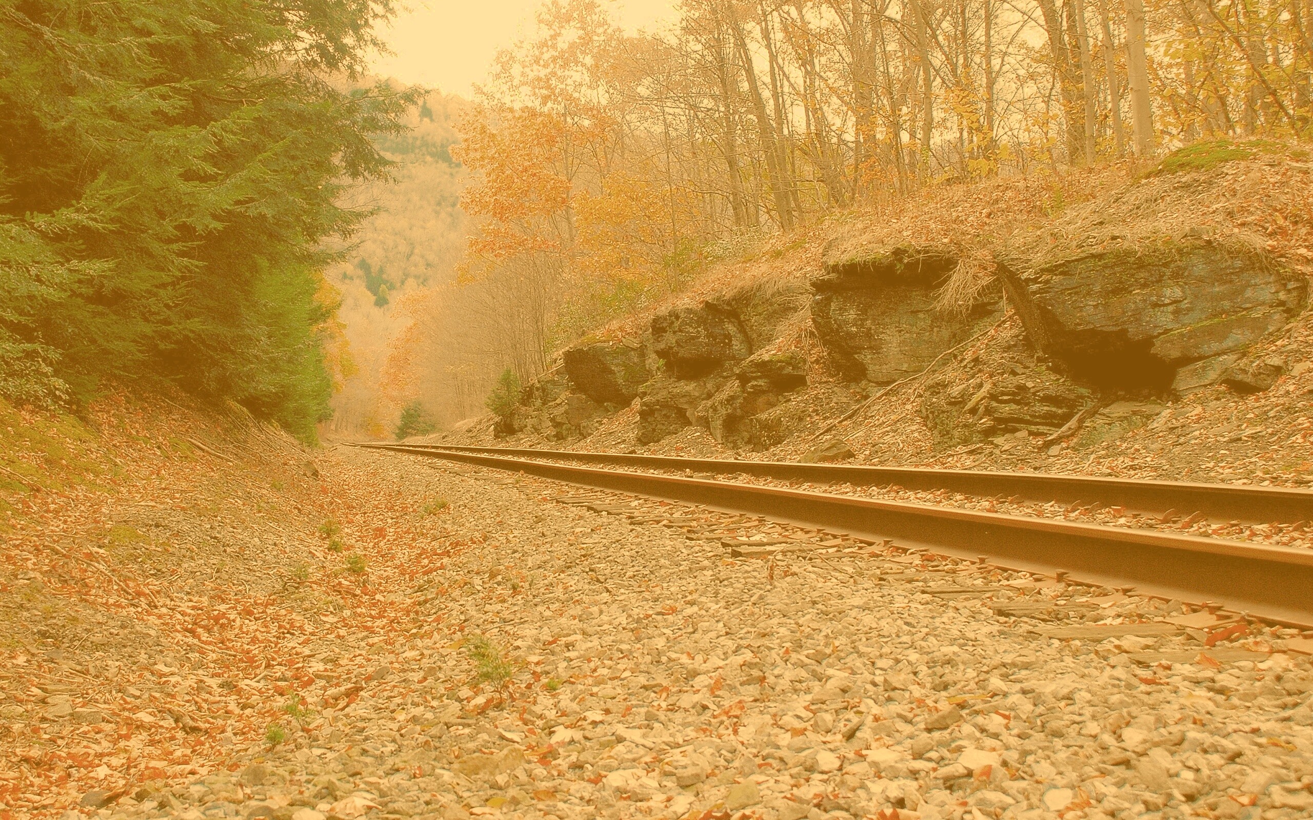 Железная дорога в скалистой местности обои