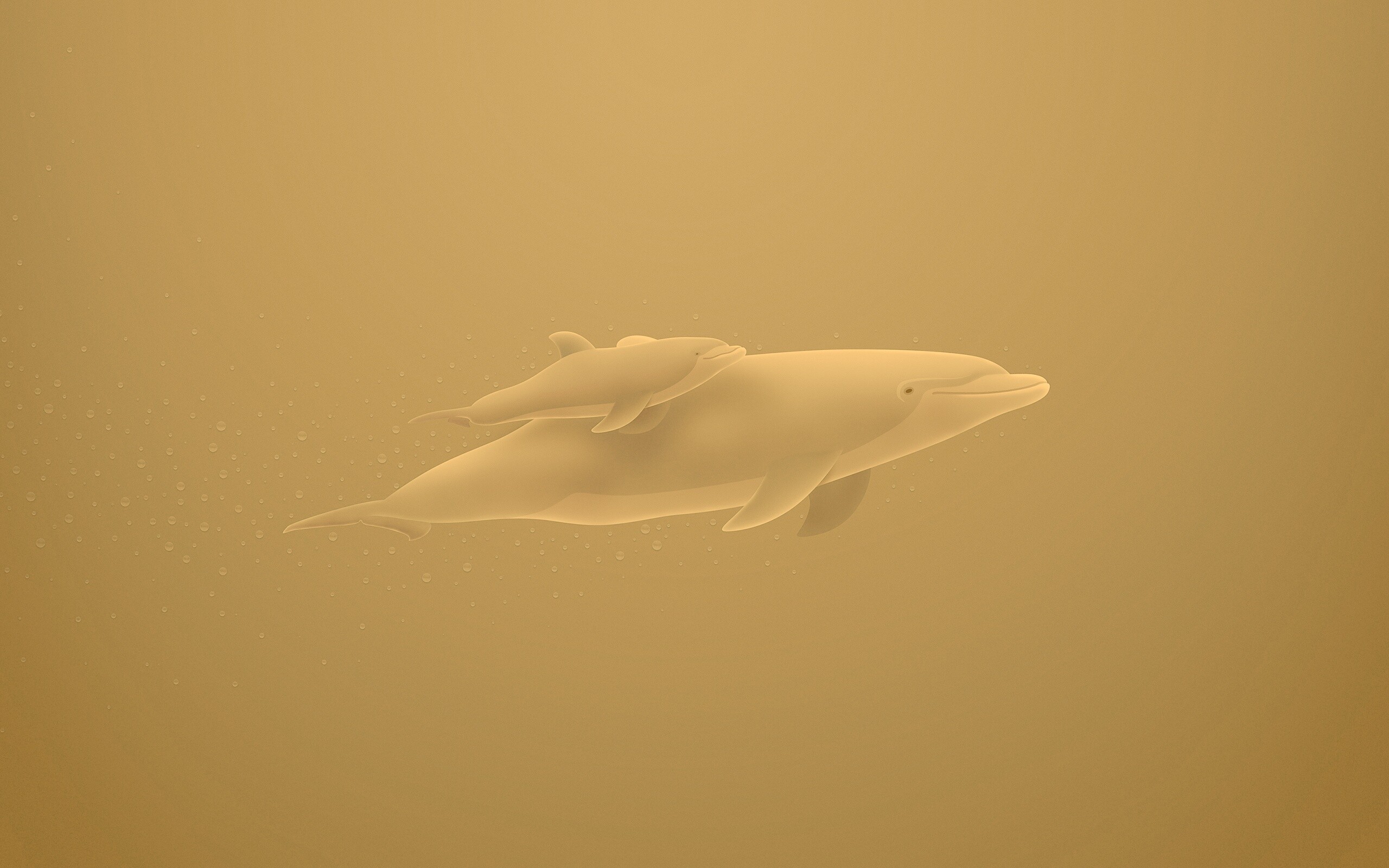 Дельфин и дельфиненок обои