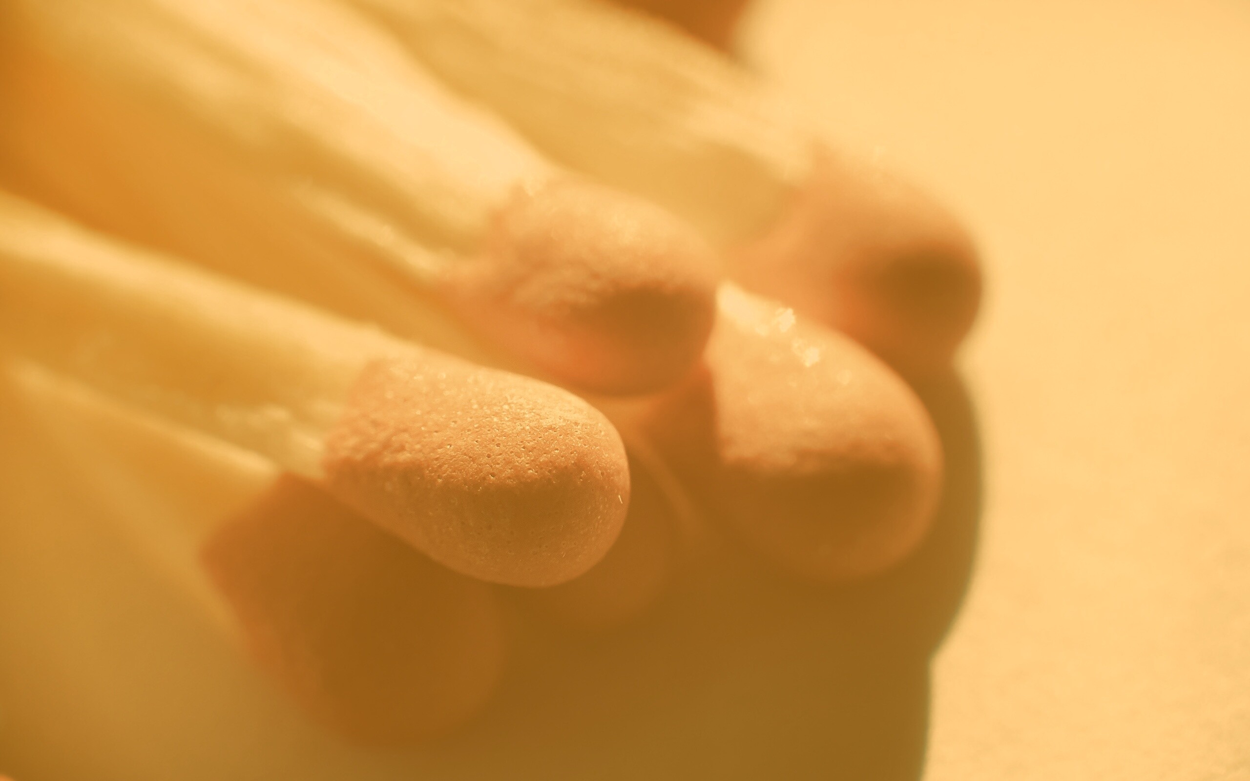 Спички в макро съемке обои