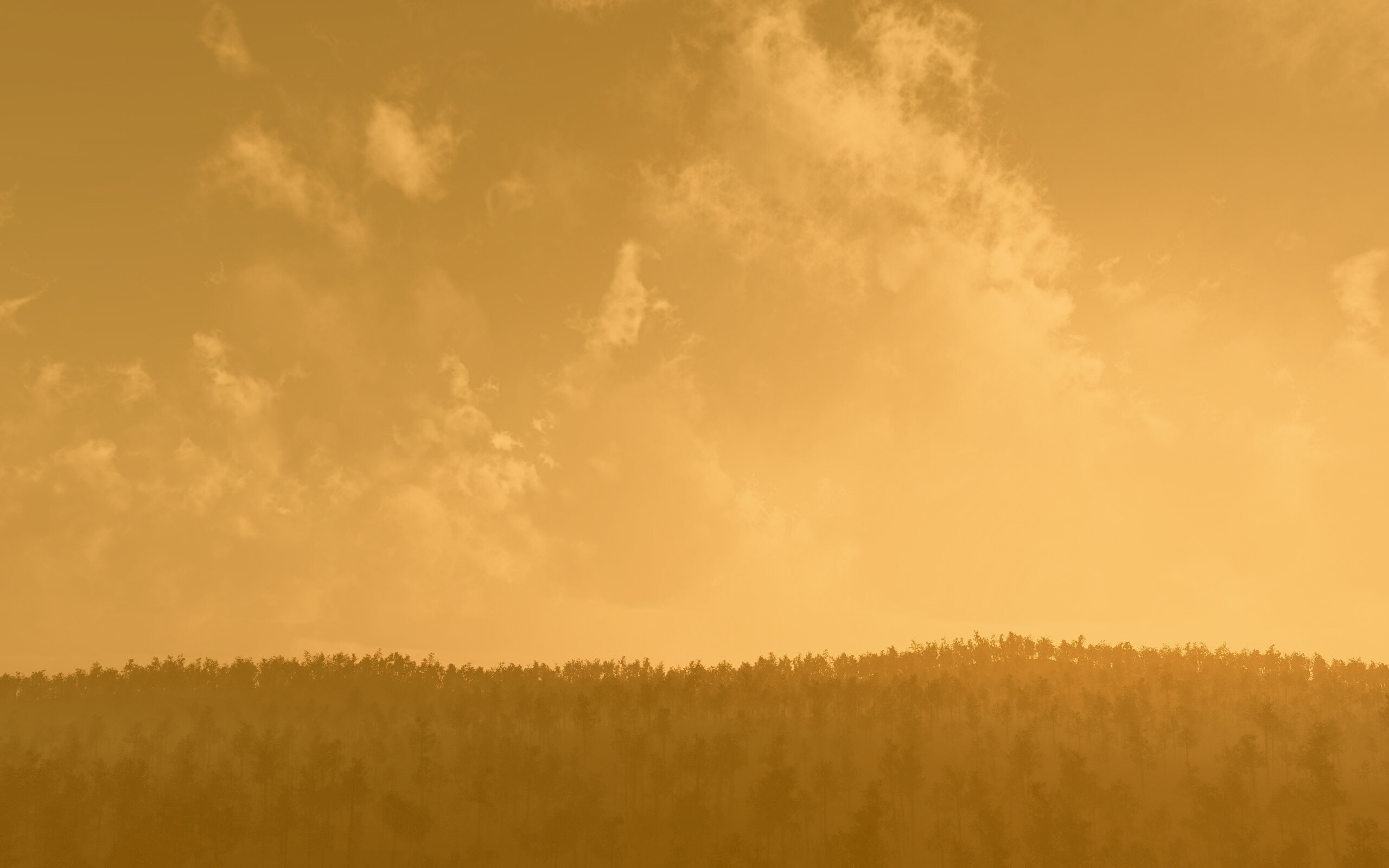 Закат над лесом обои