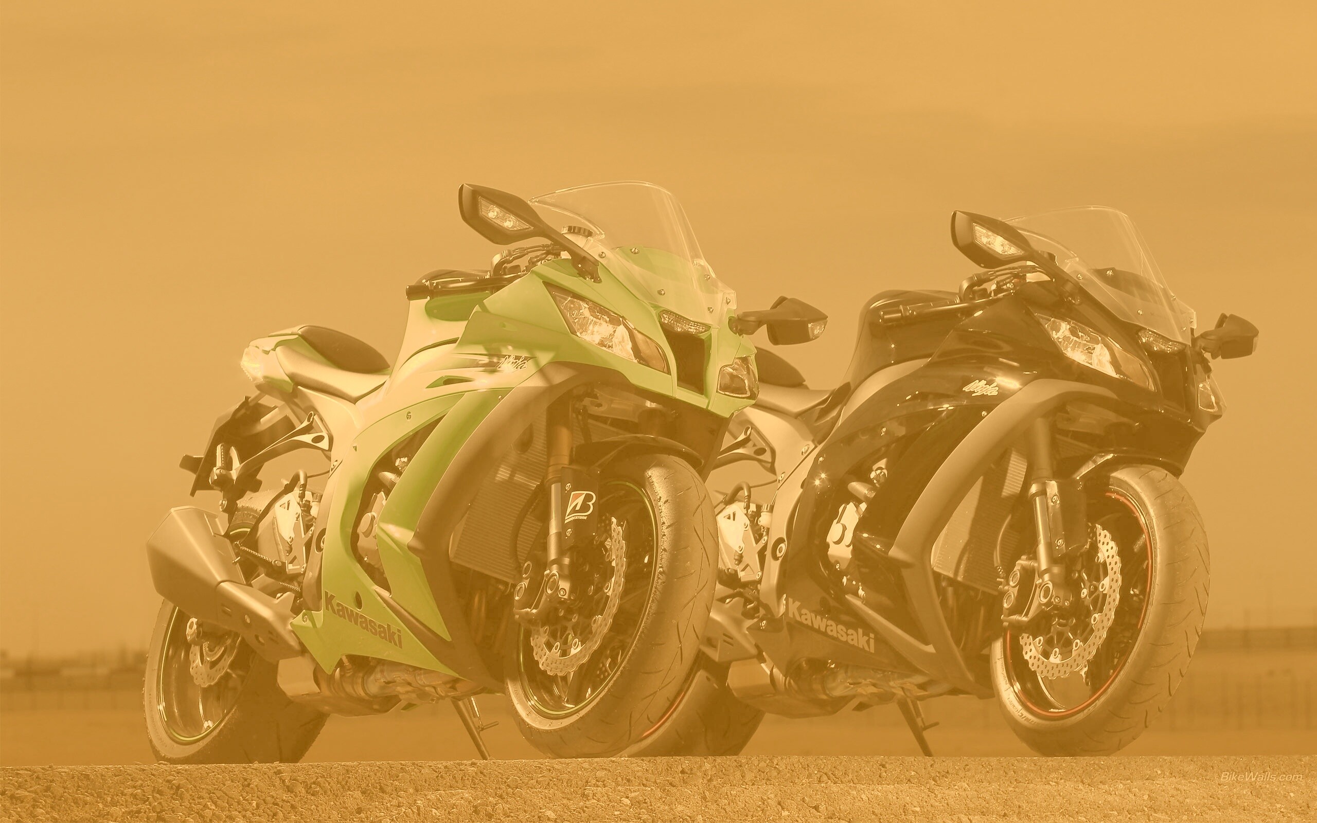 Два Кавасаки обои