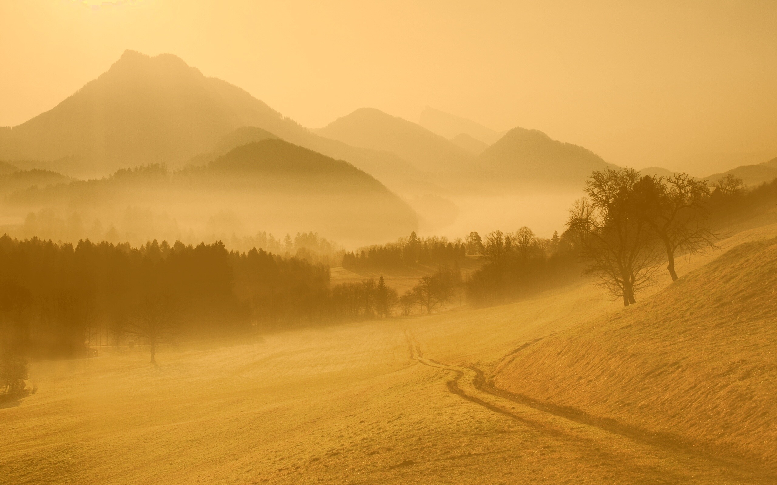 Дорога в туманную долину обои