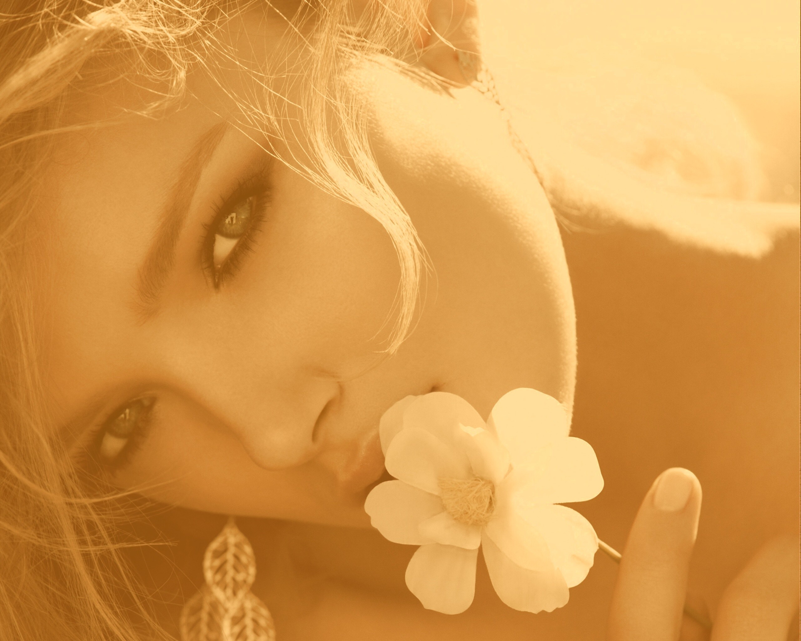 Красавица с белым цветком обои