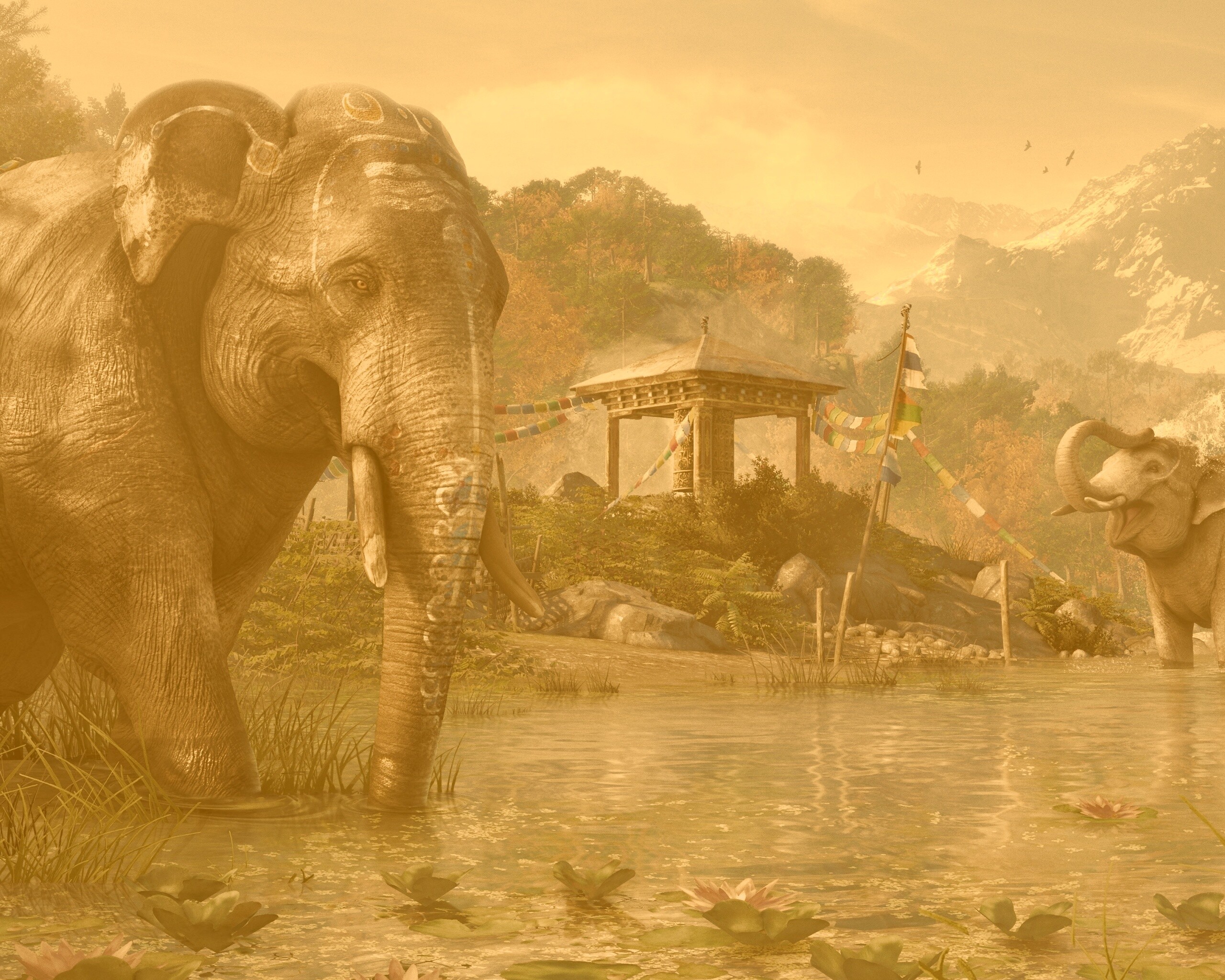 Слоники у воды обои