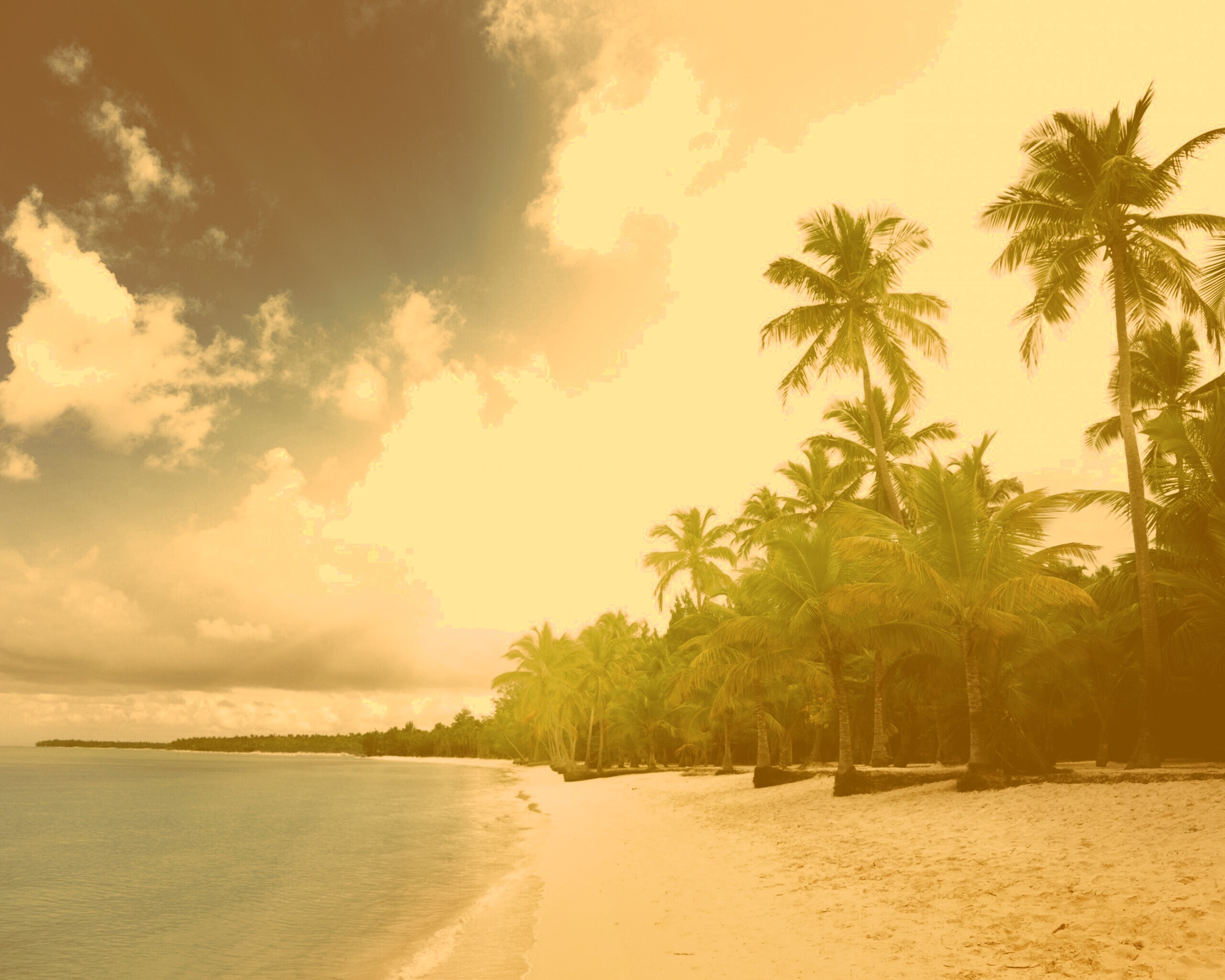 Тропическое побережье обои