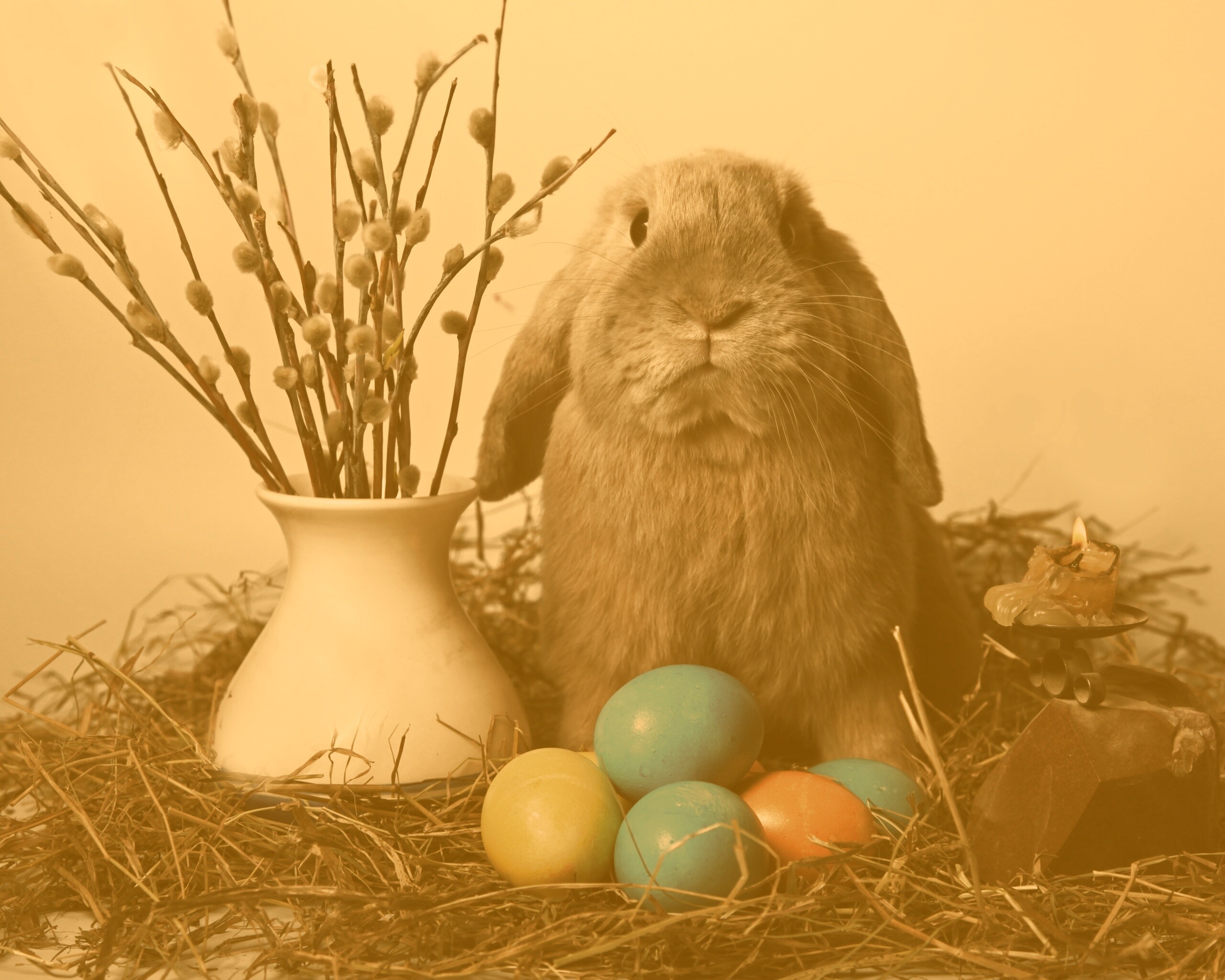 Пасхальный кролик обои