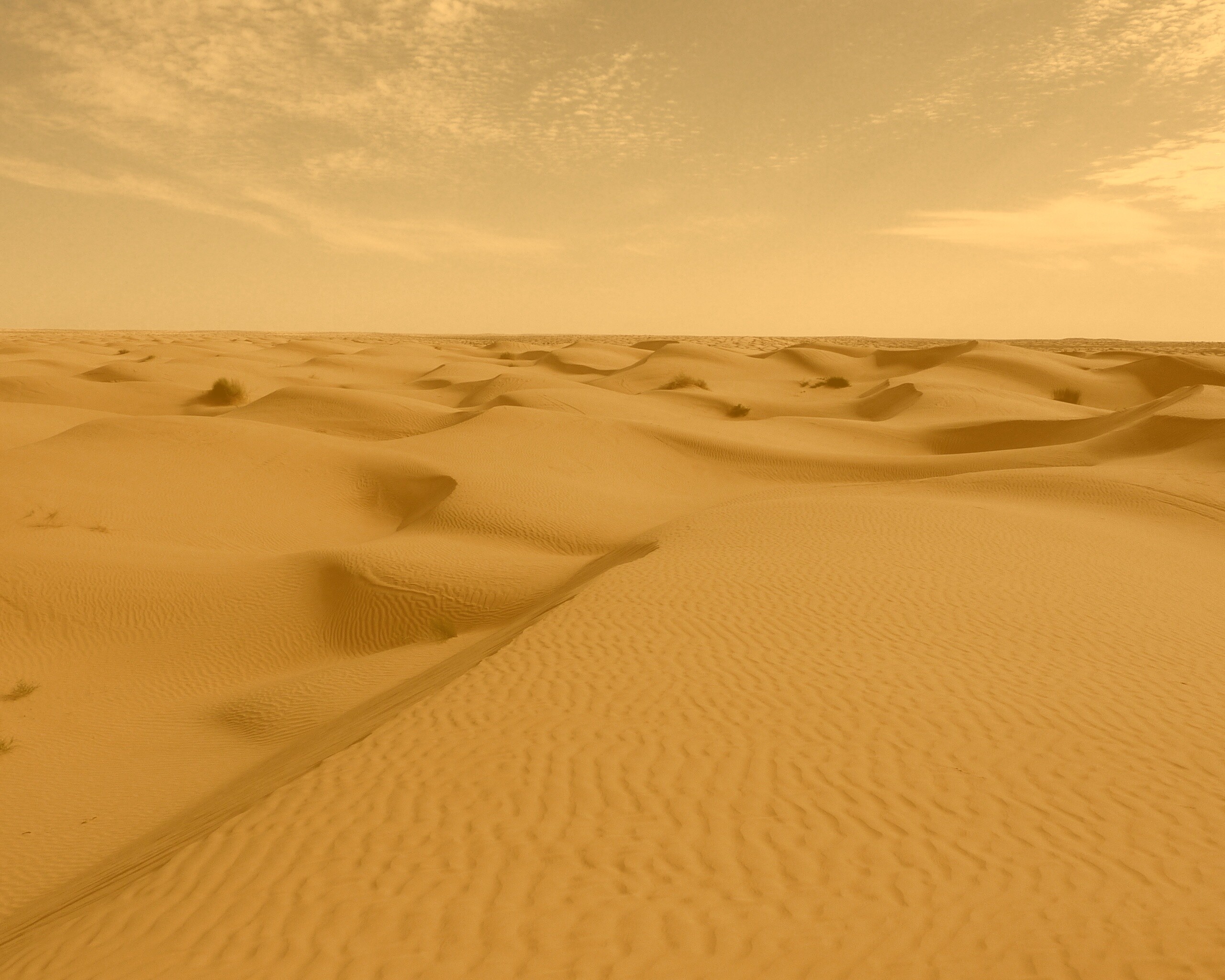 Пустыня до самого горизонта обои