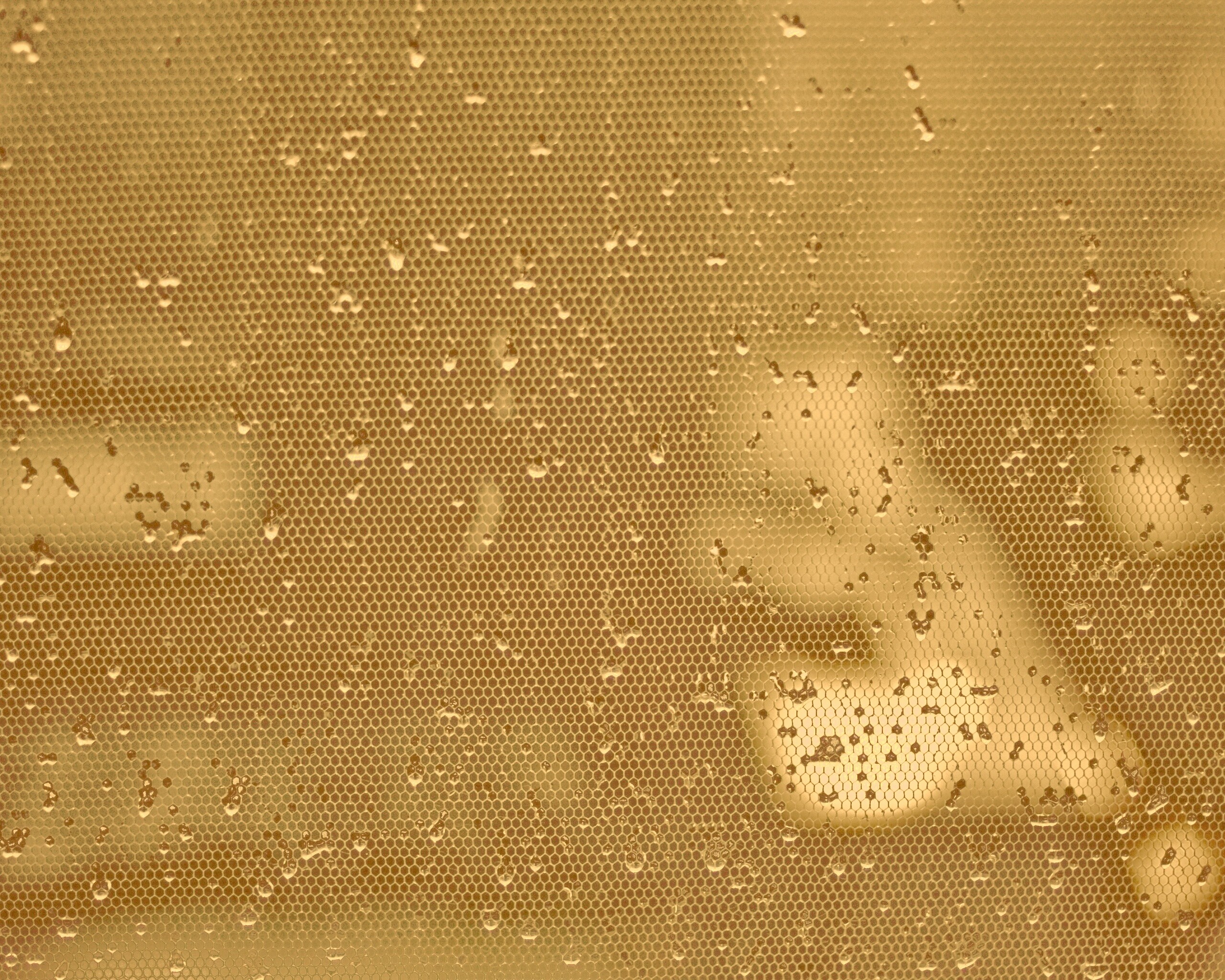 Капли нас етке обои