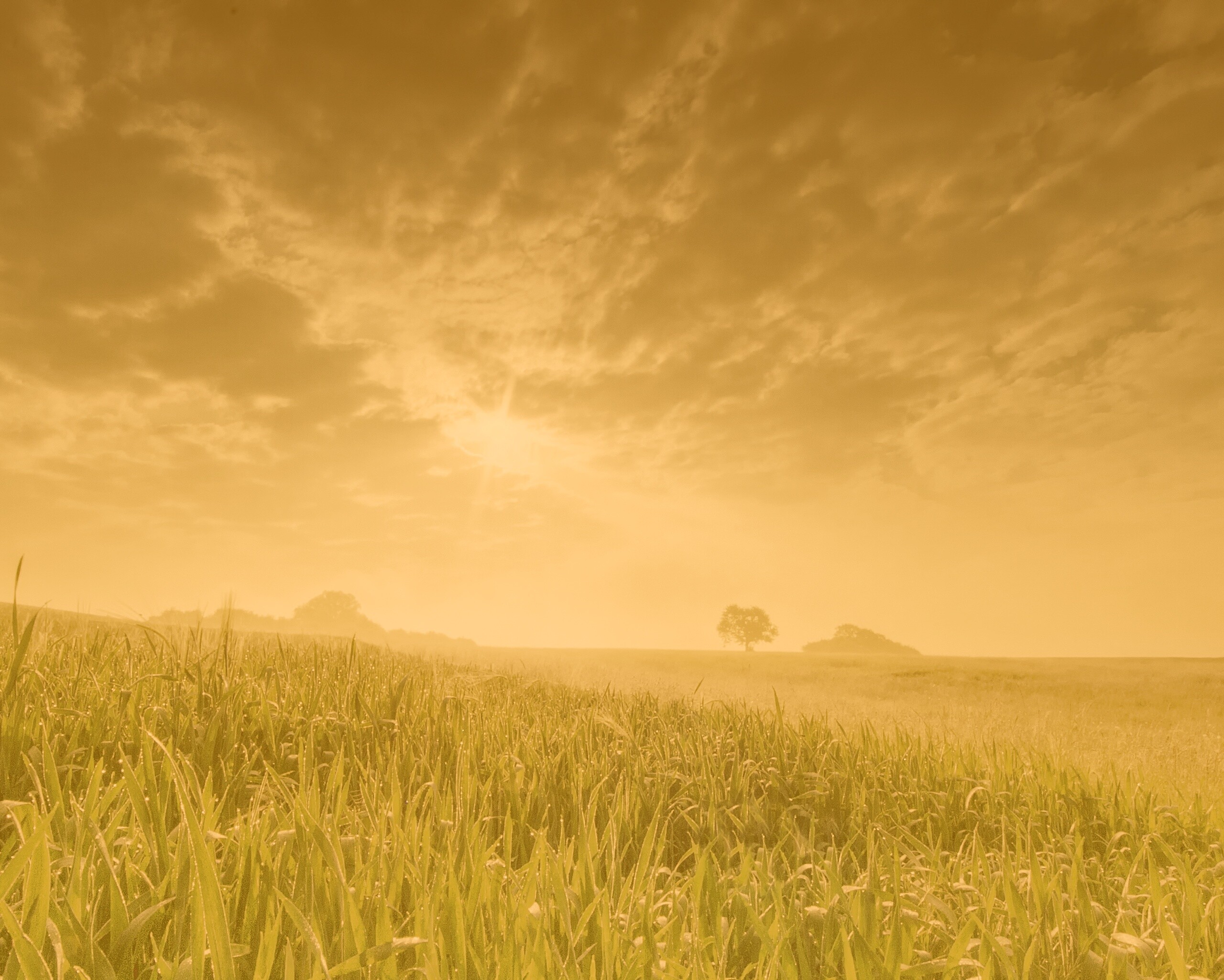 Безмятежность обои