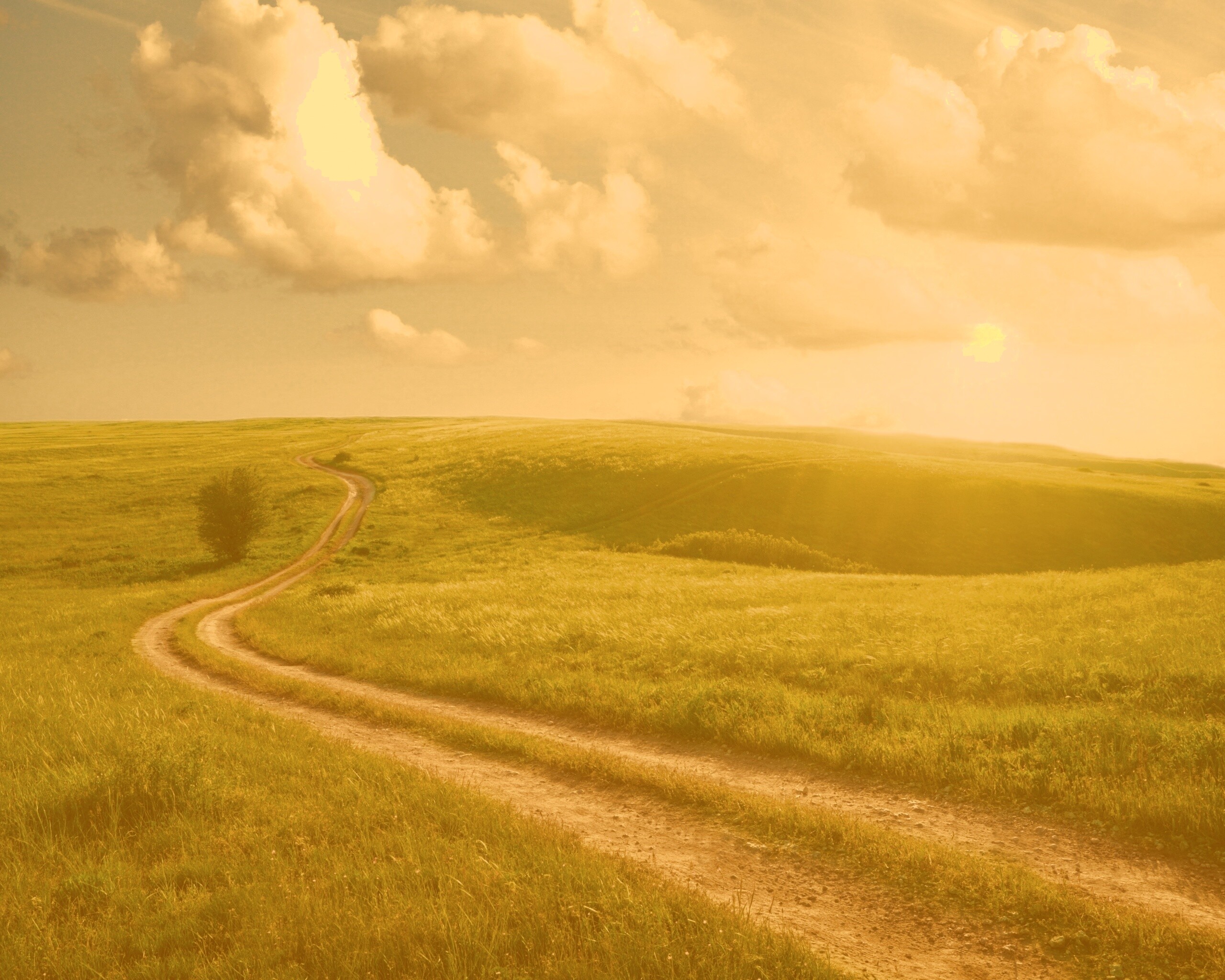 Дорога через луг обои