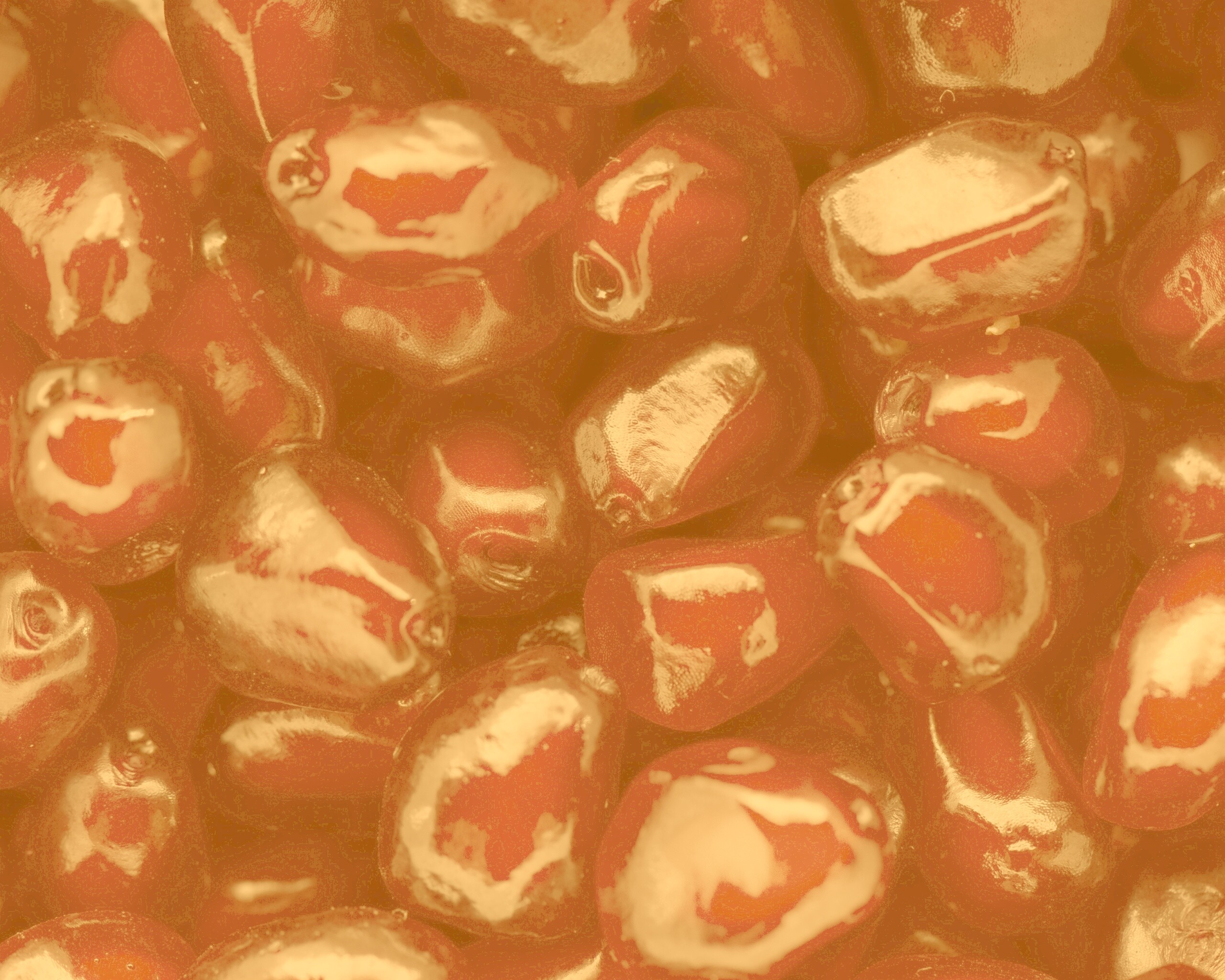 Ядра граната обои