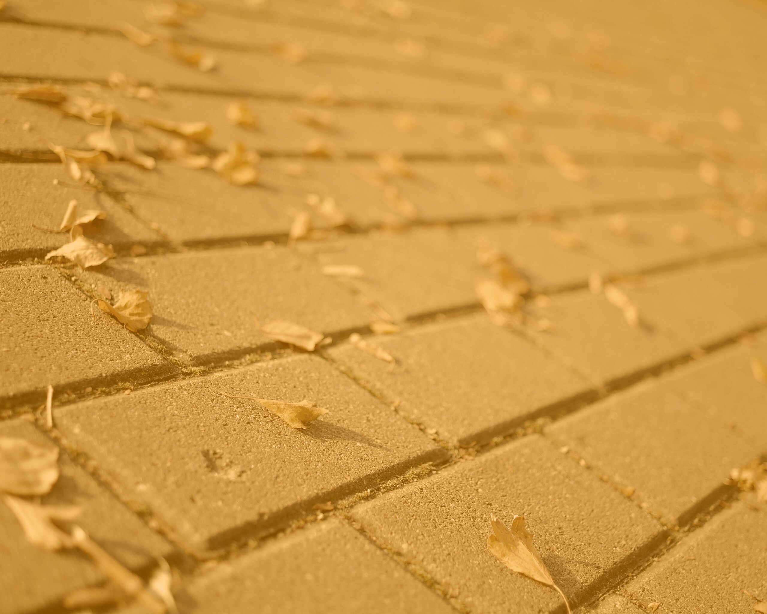 Тротуар обои