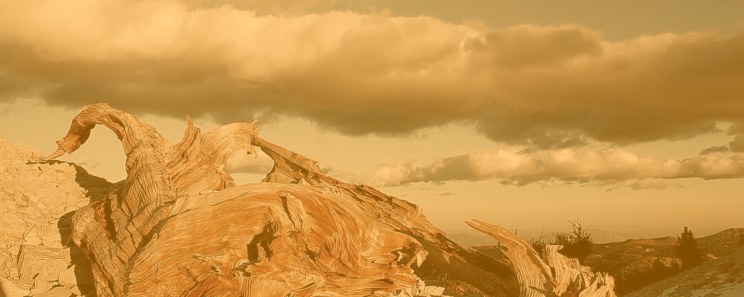 Прелести природы обои