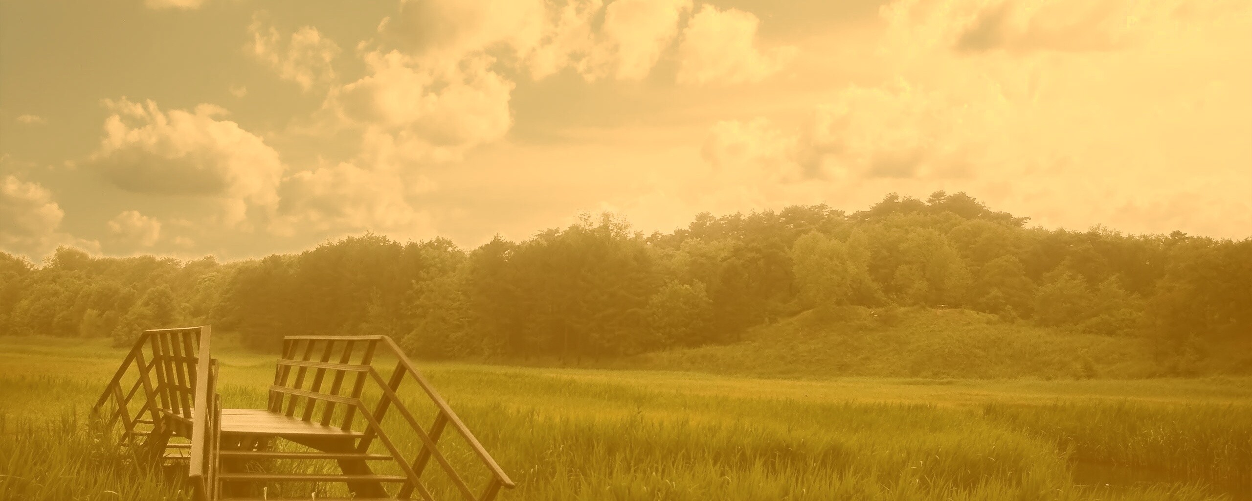 Мостик обои