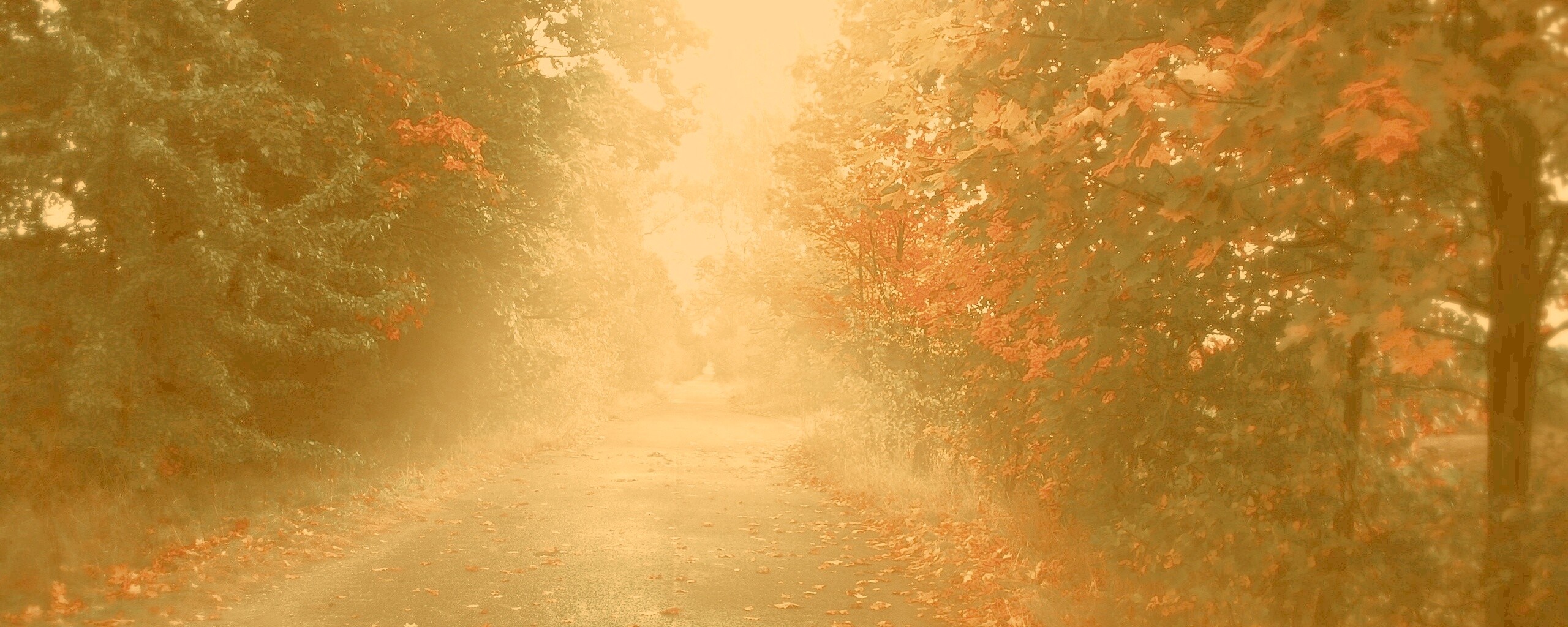 Желтая дорога обои