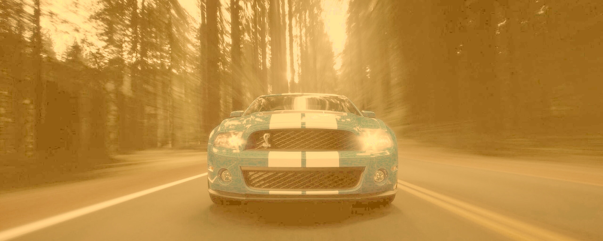 Форд Шелби обои