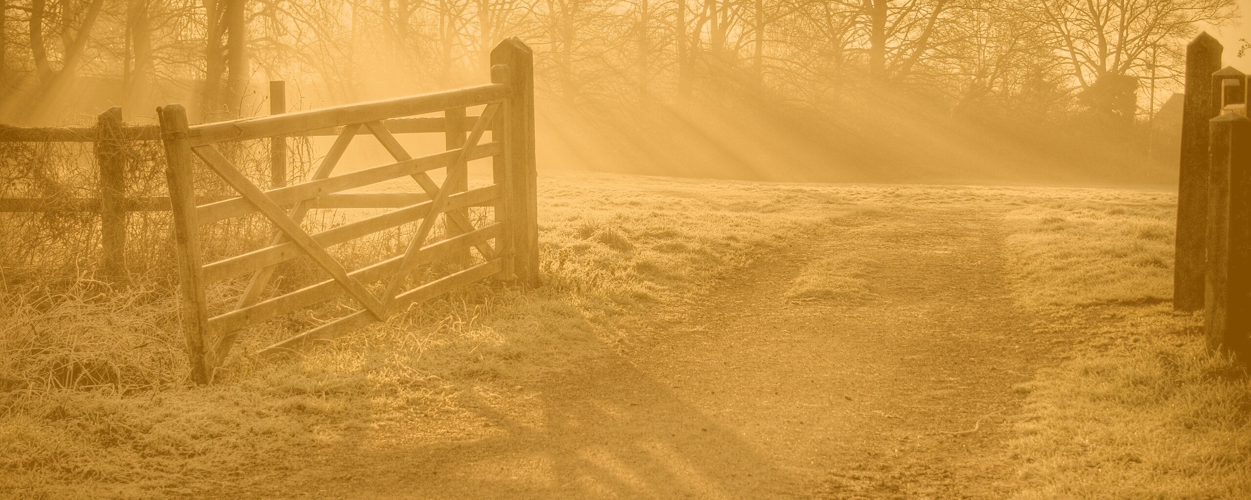 Открытые ворота обои