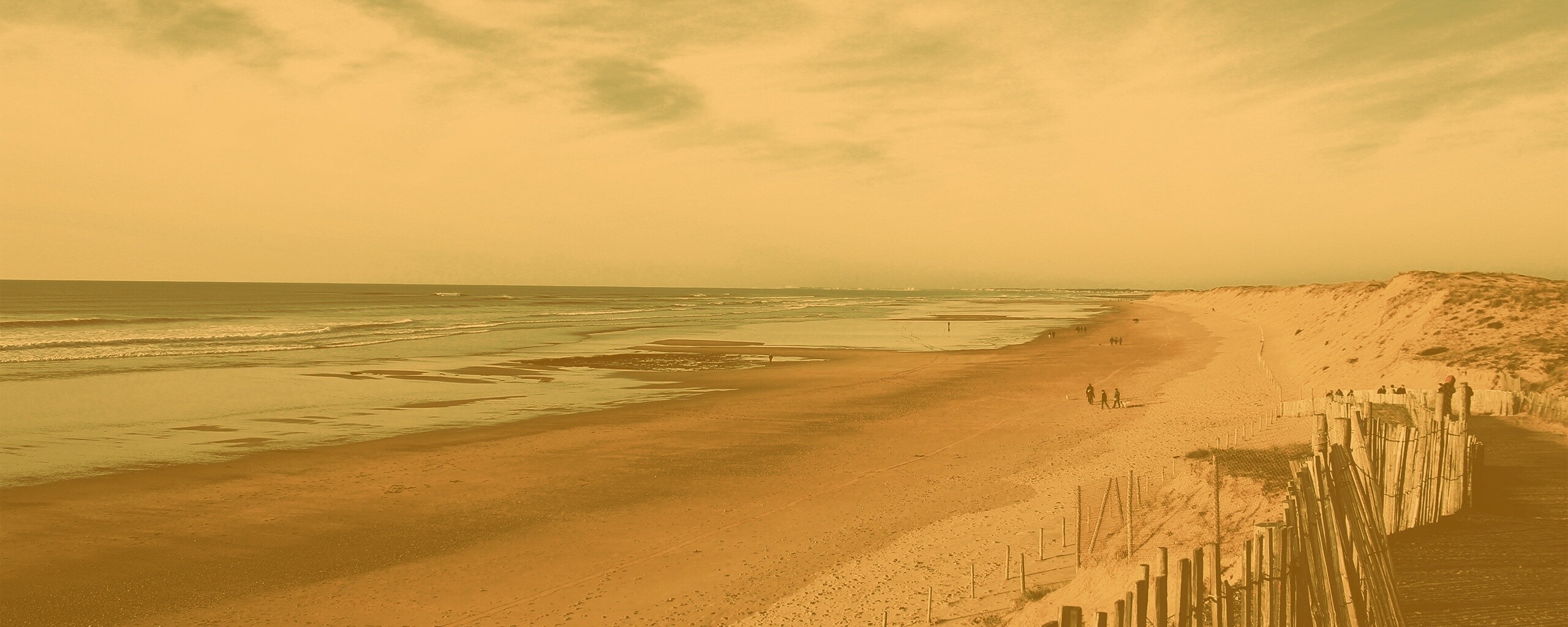 Обмелевший берег обои