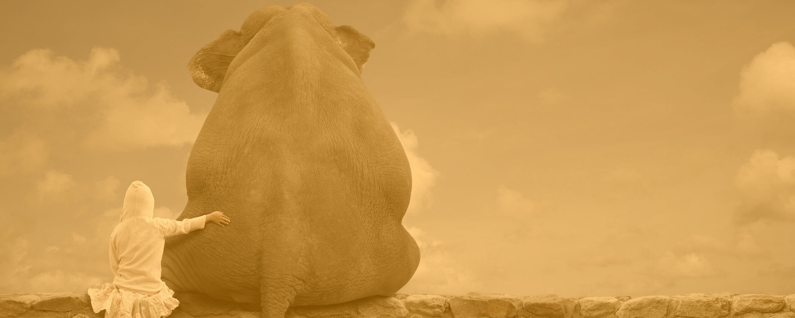 Девочка и слон обои