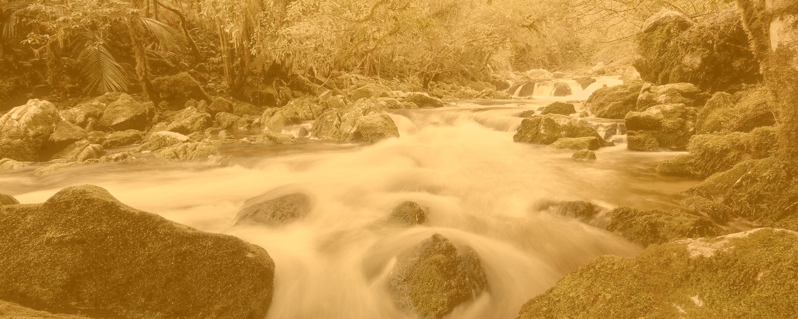 Лесной руче обои