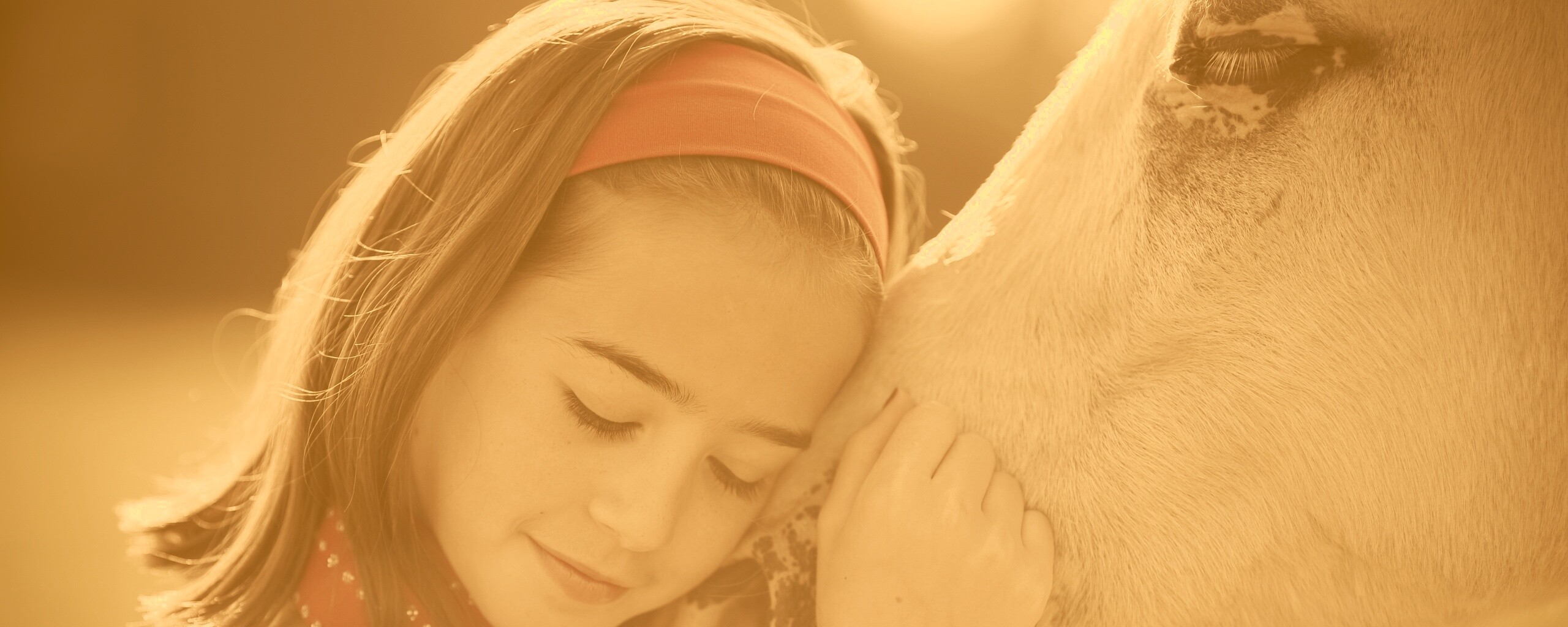 Девочка и лошадь обои