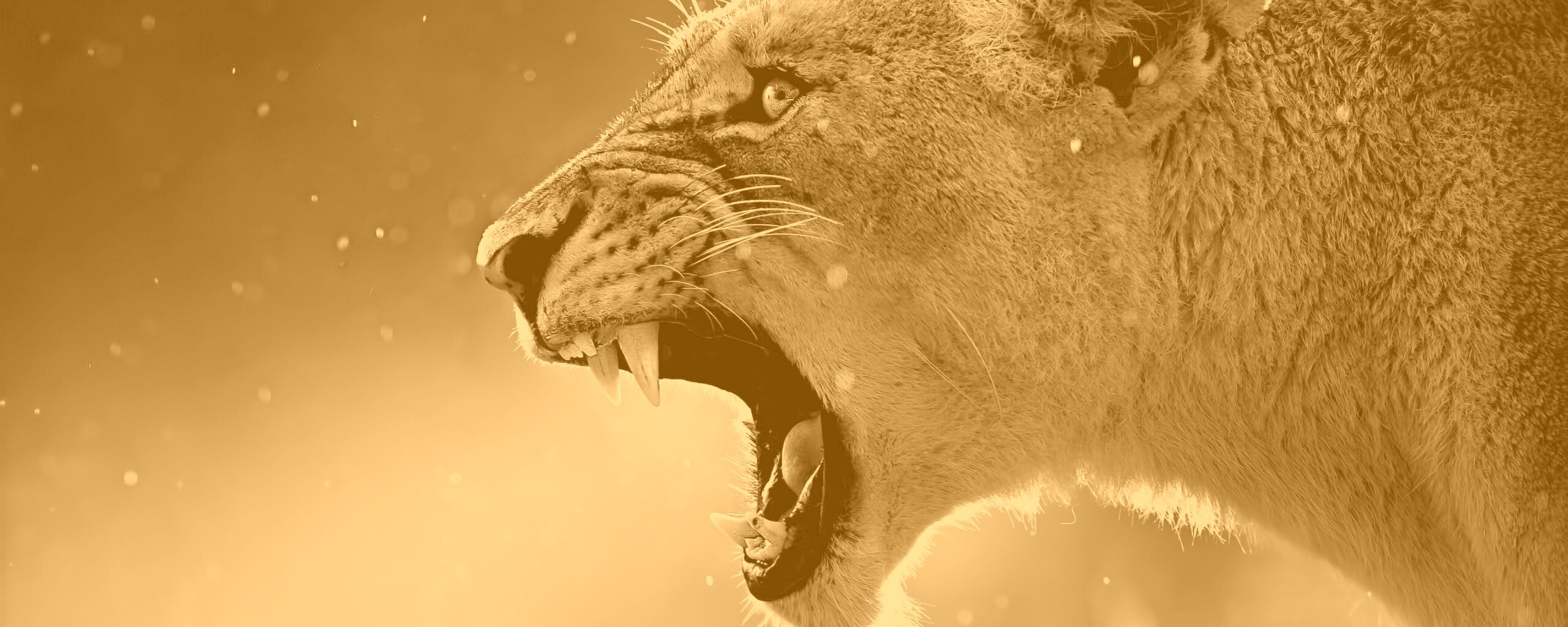 Грозный львиный рык обои