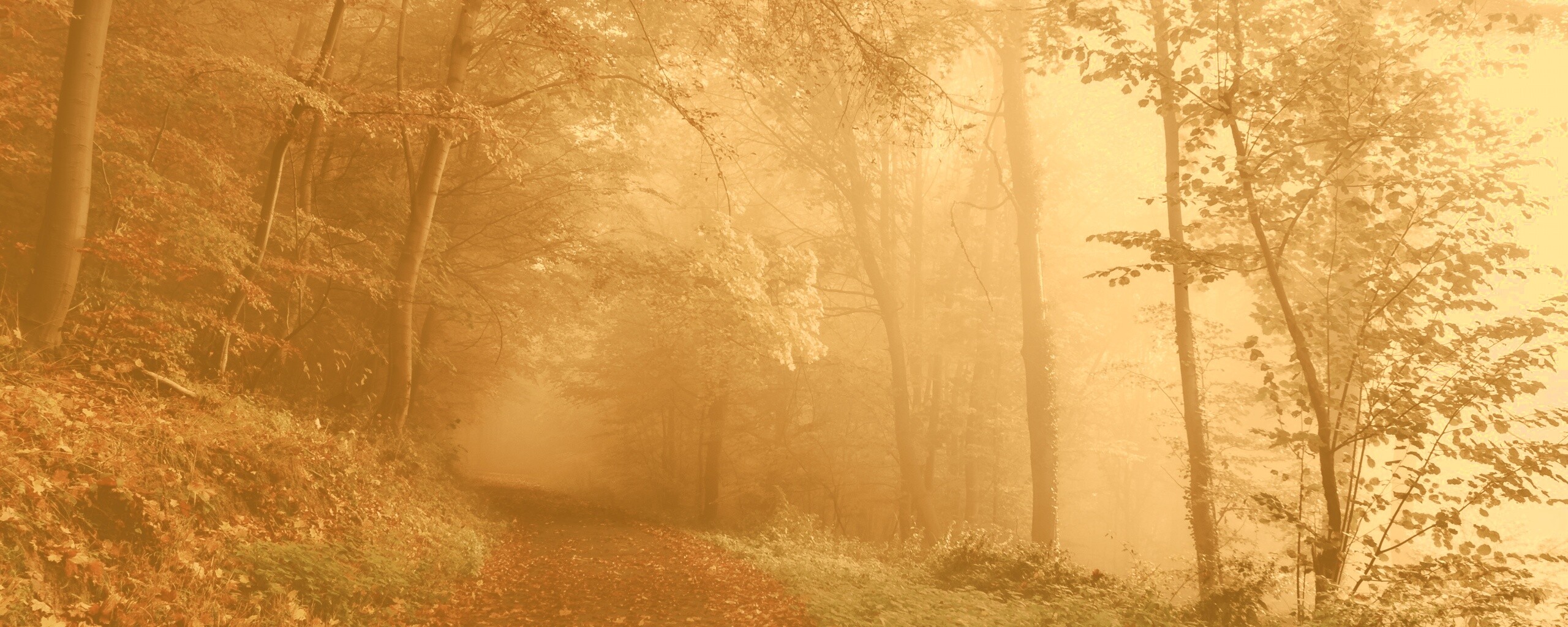 Осенний мистический пейзаж обои