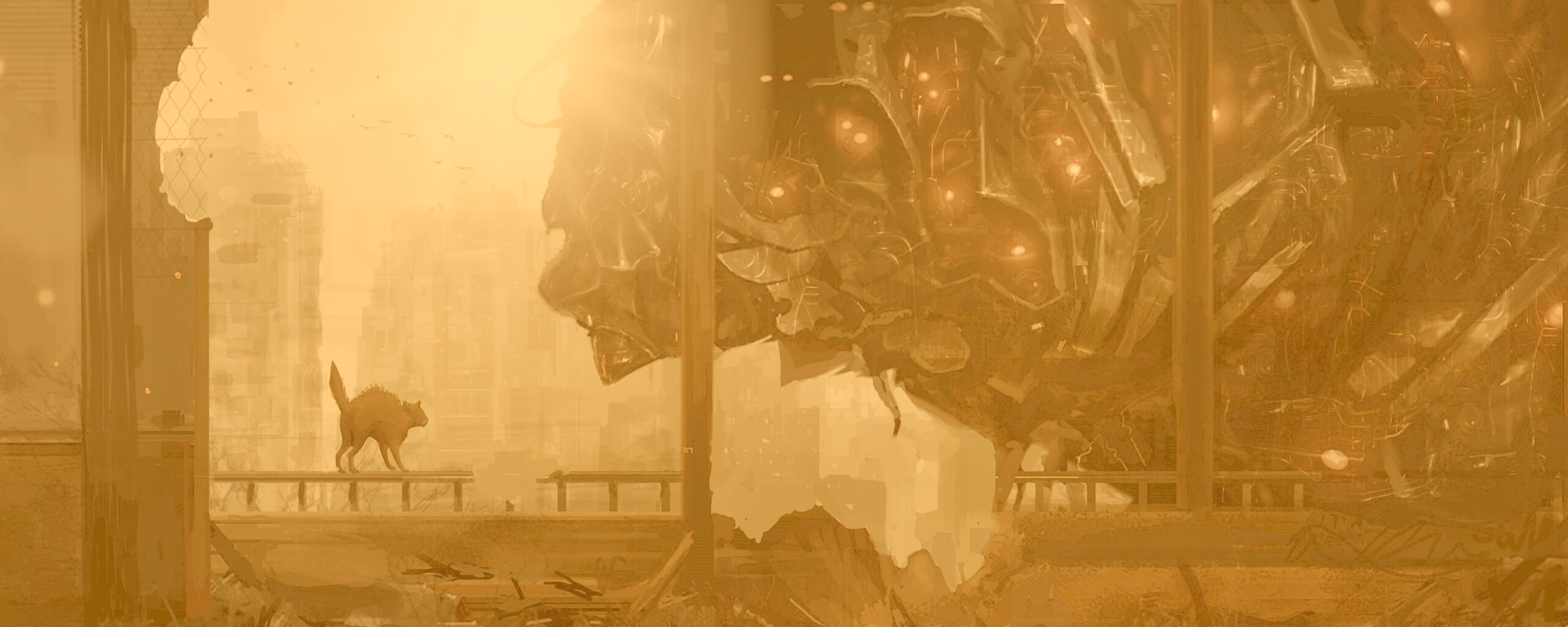 Кошкино удивление обои