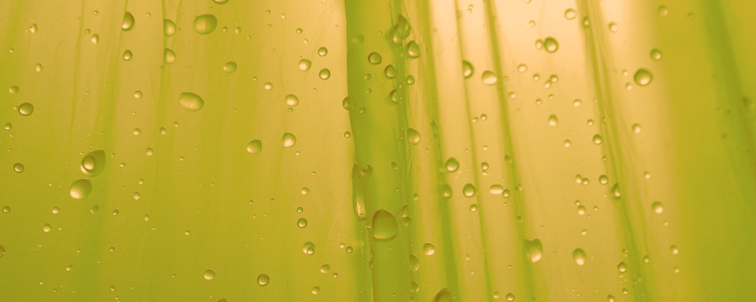 Капли на зеленом пластике обои