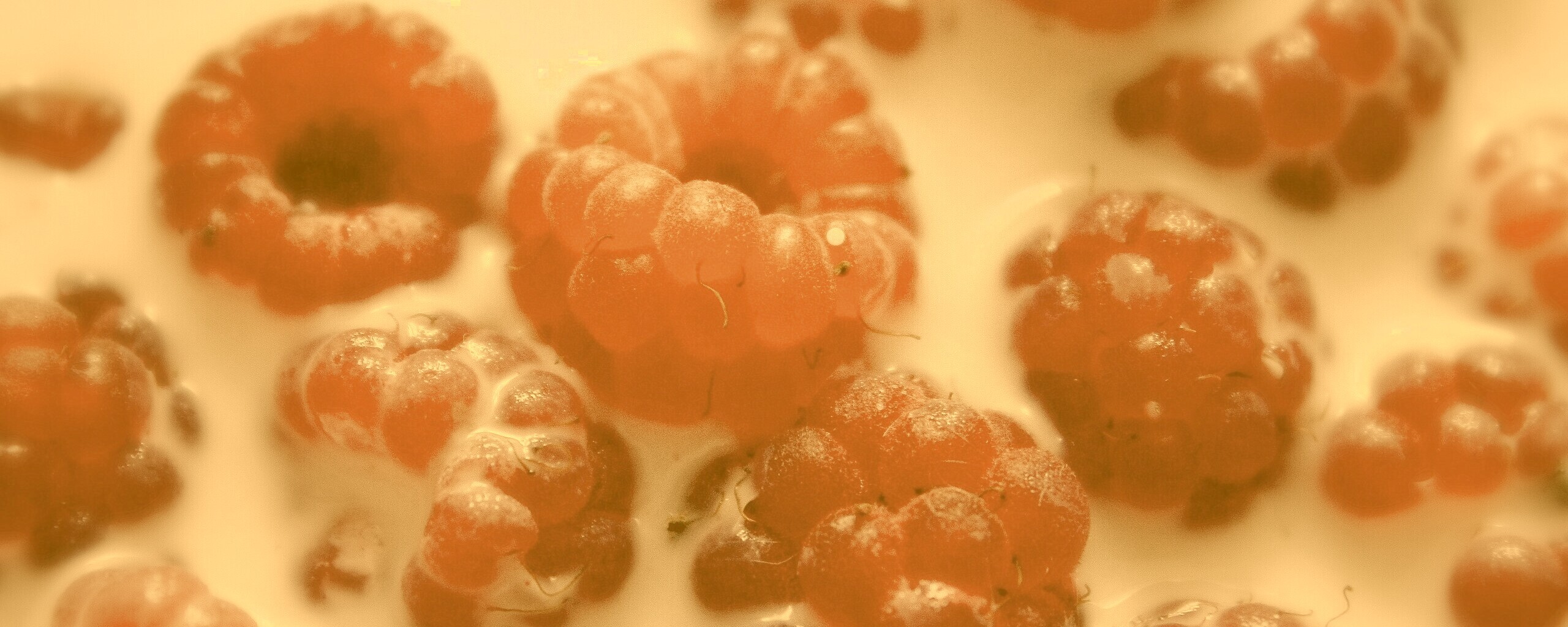 Малина в молоке обои