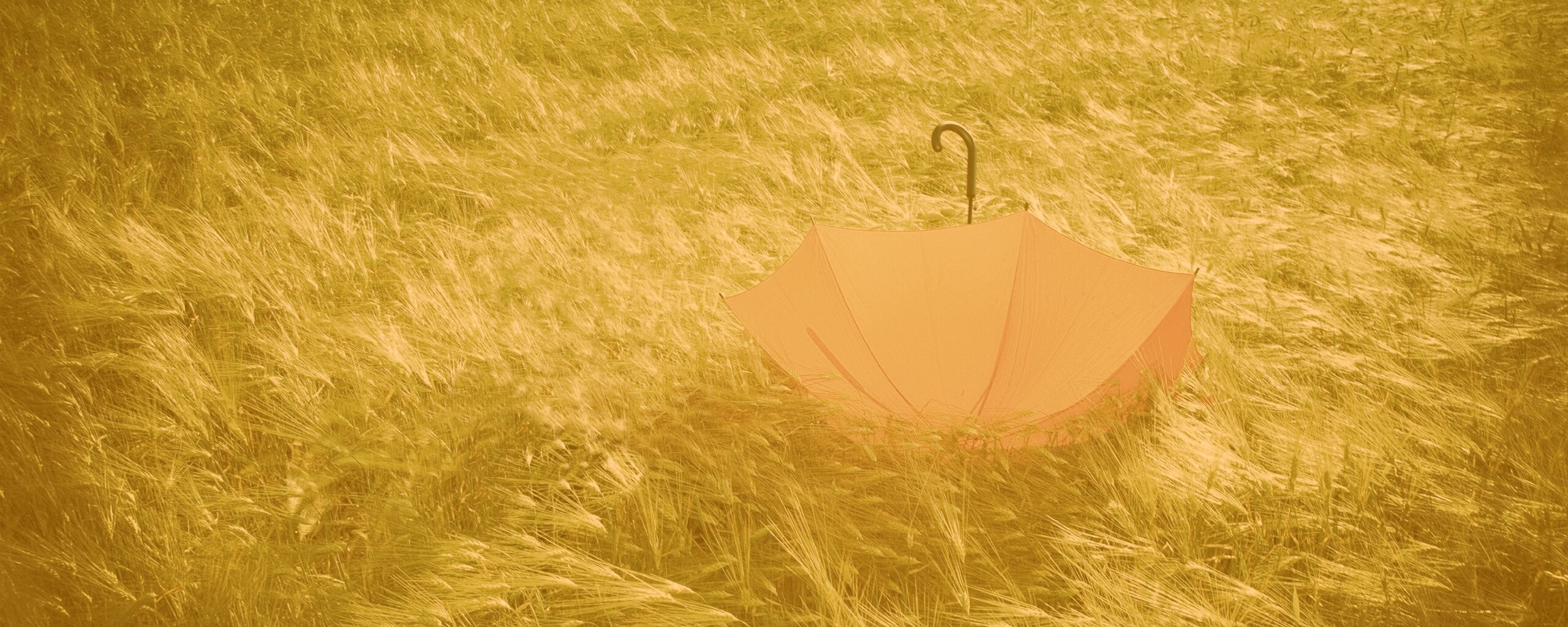 Зонт на траве обои