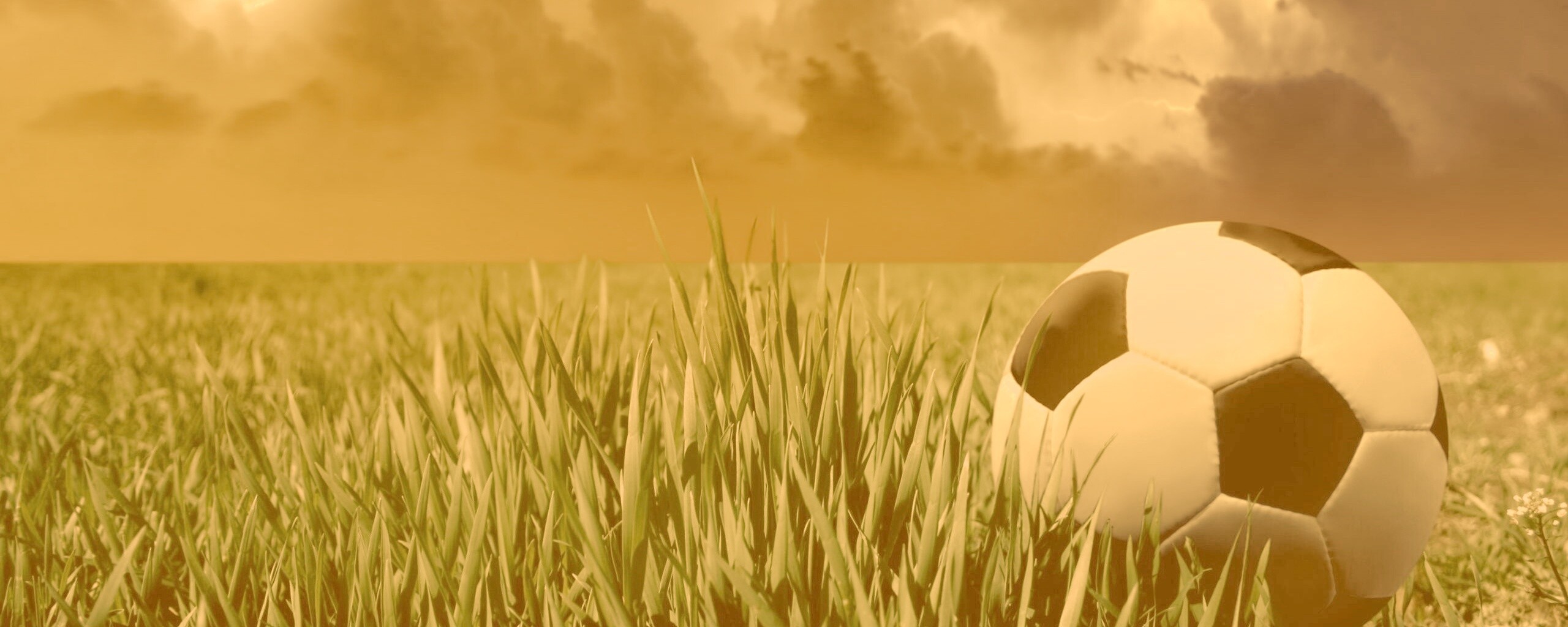 Футбольный мяч на газоне обои