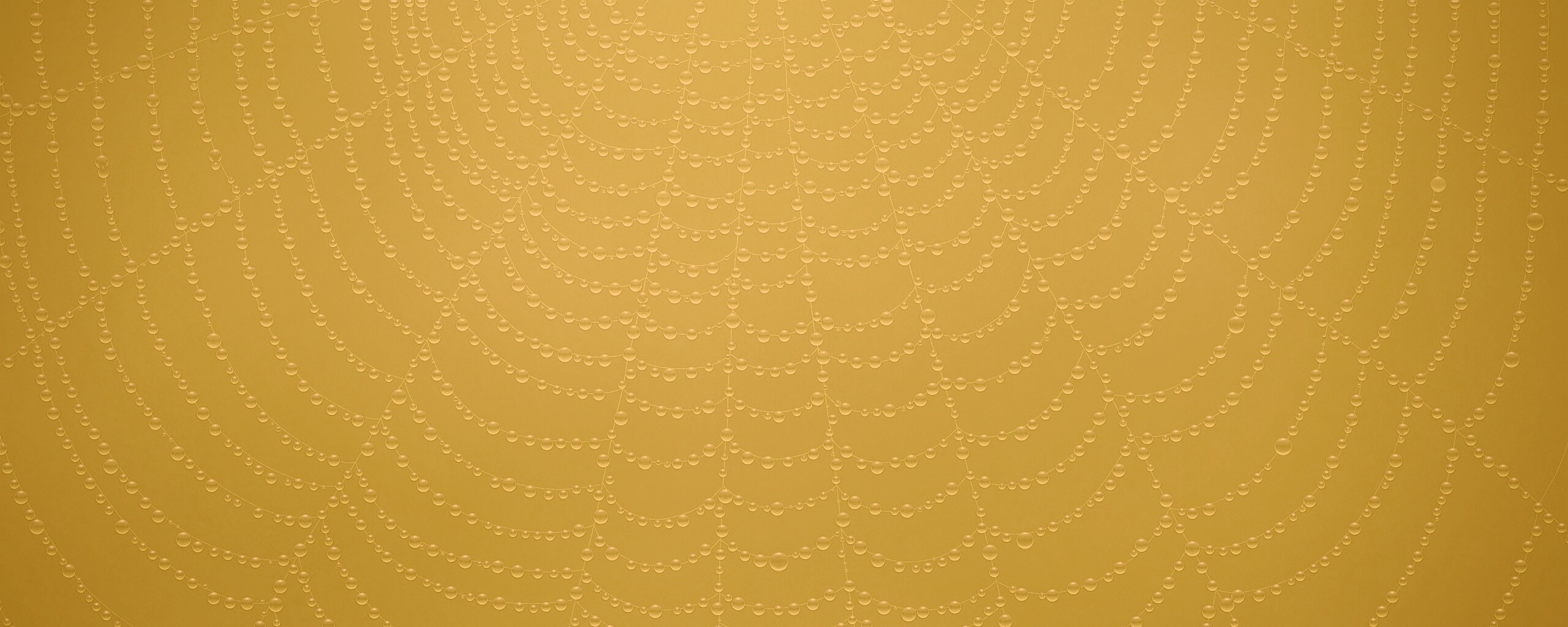 Роса на паутине обои