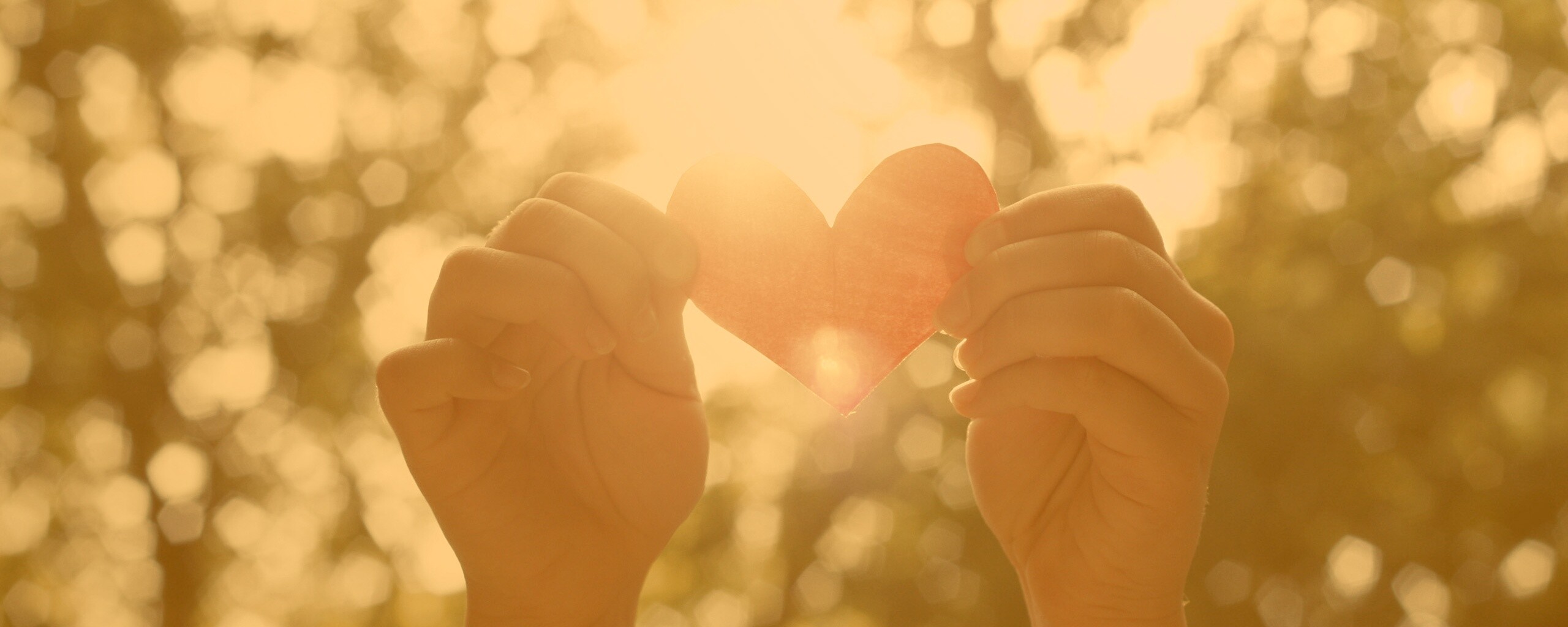 Бумажное красное сердце обои