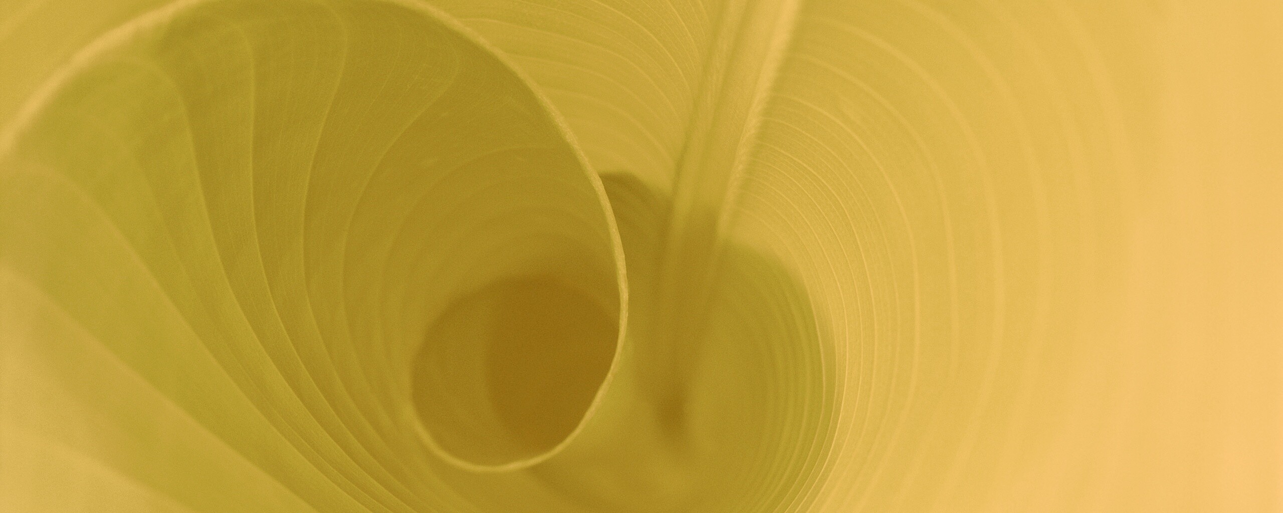 Зеленый лист трубочкой обои