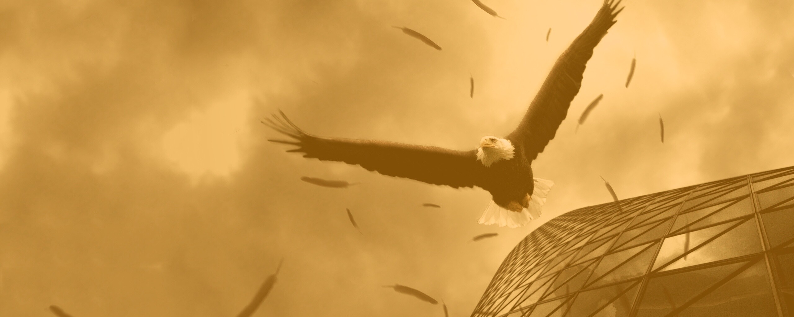 Орлиный полет обои