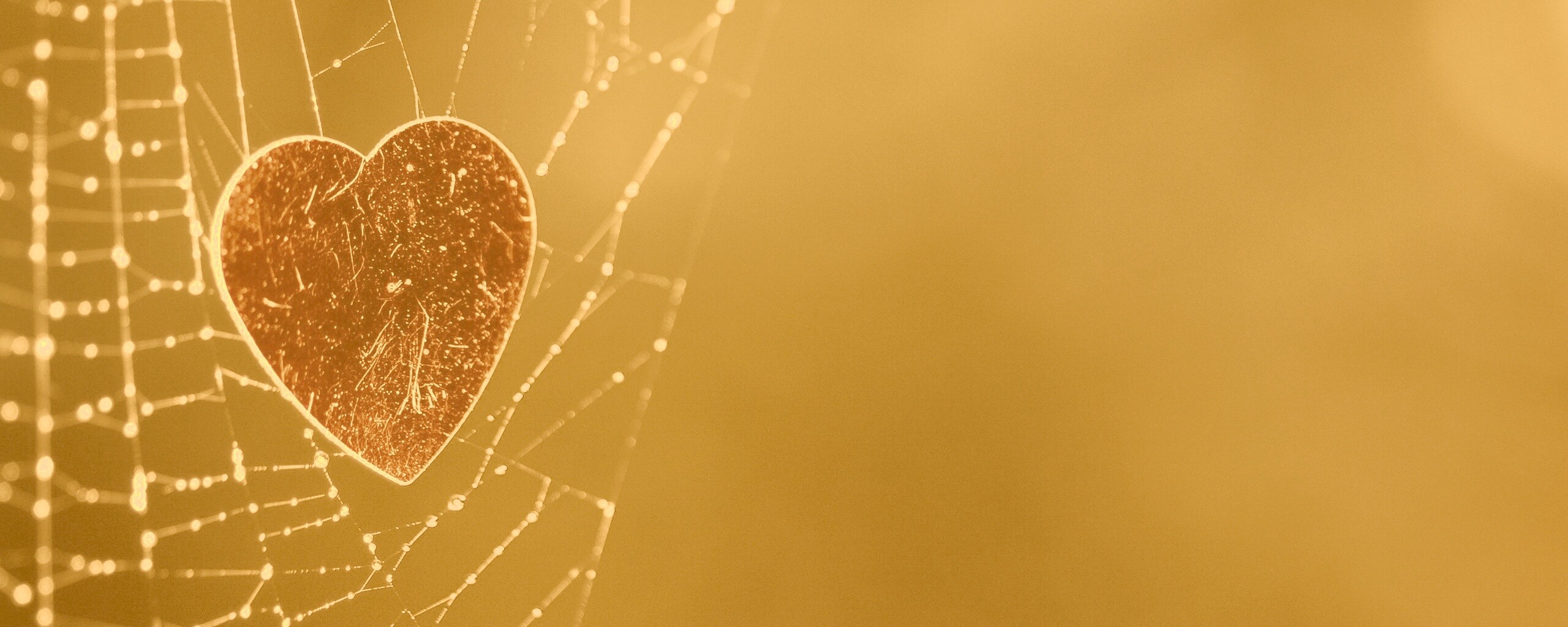 Запутавшаяся любовь.. обои