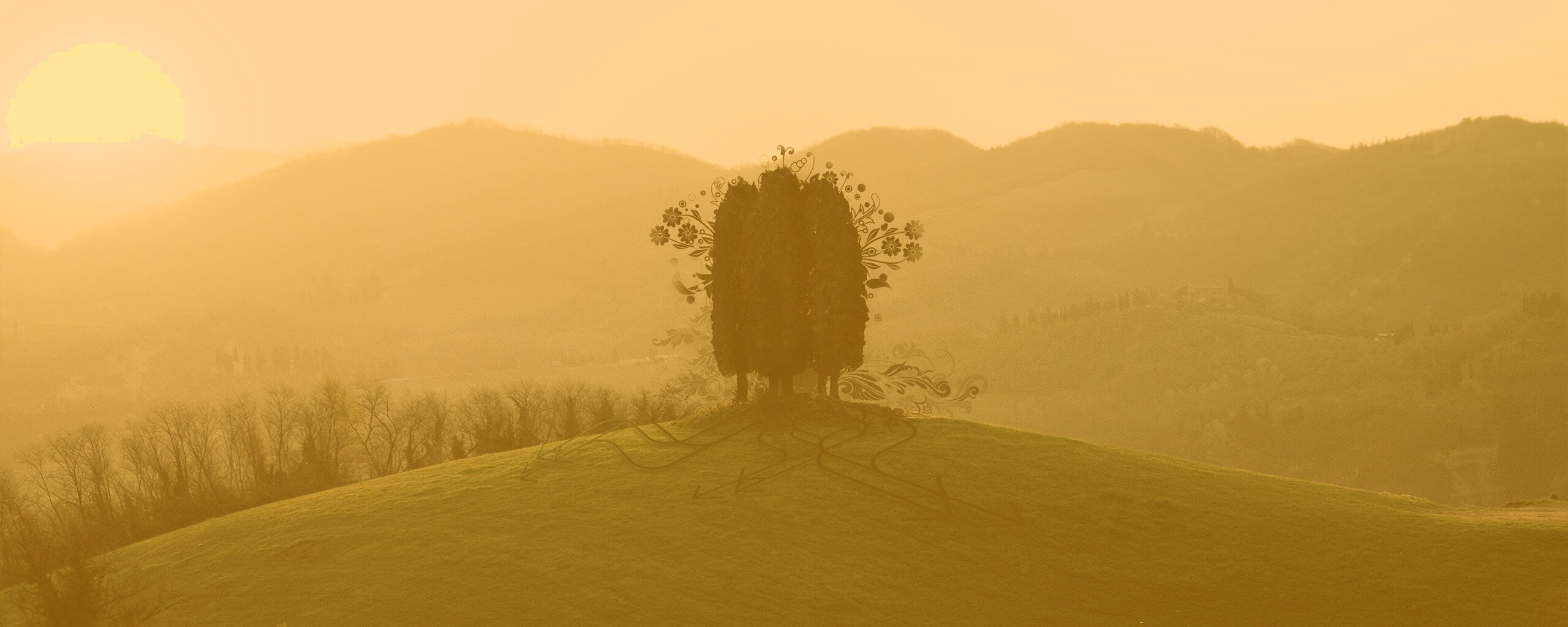 Деревья на холме обои