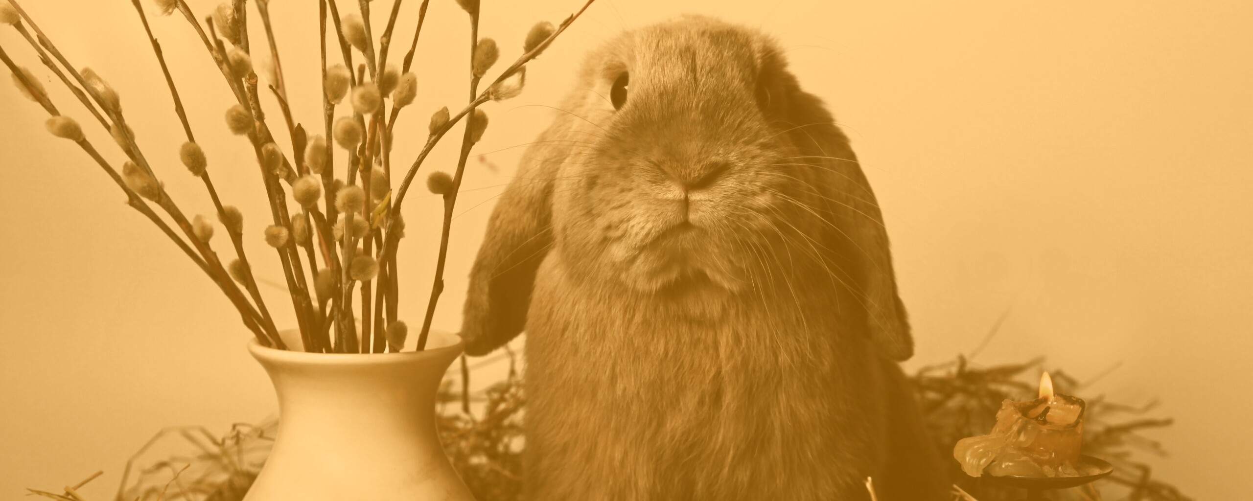 Пасхальный кролик обои