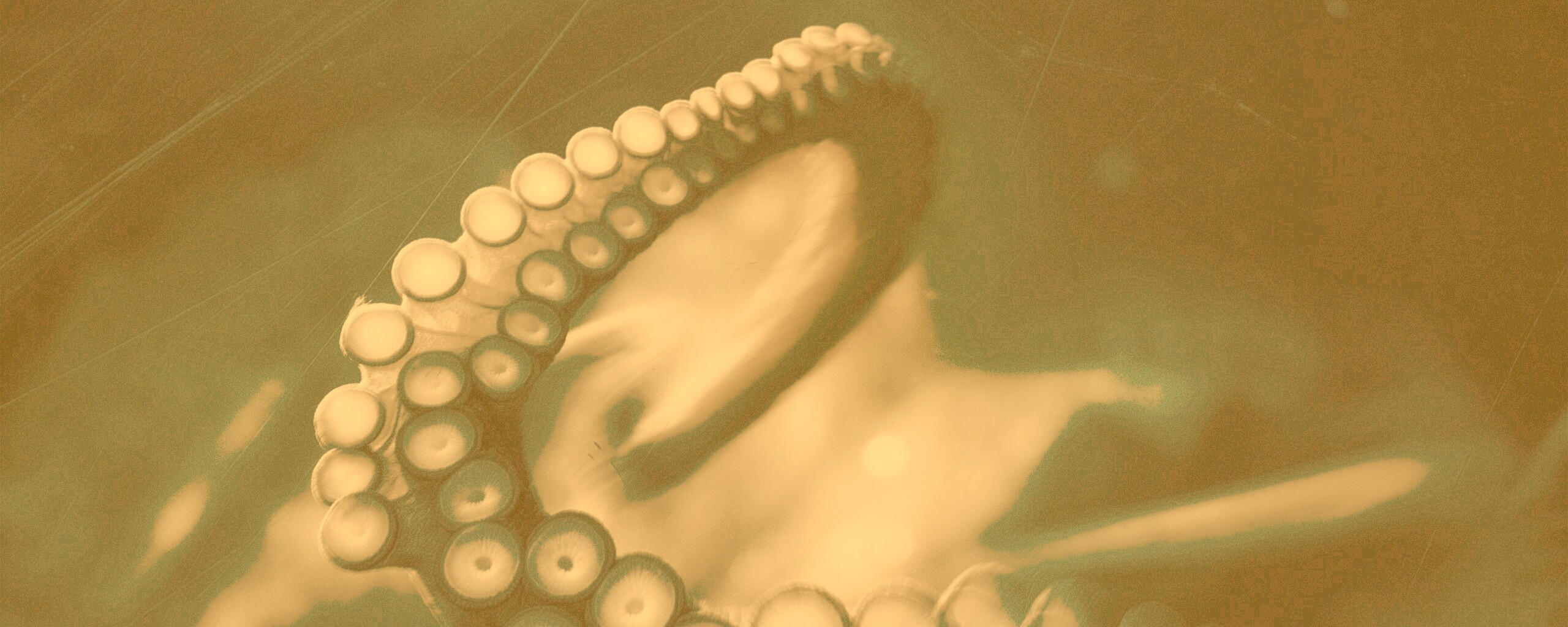 Щупальце обои