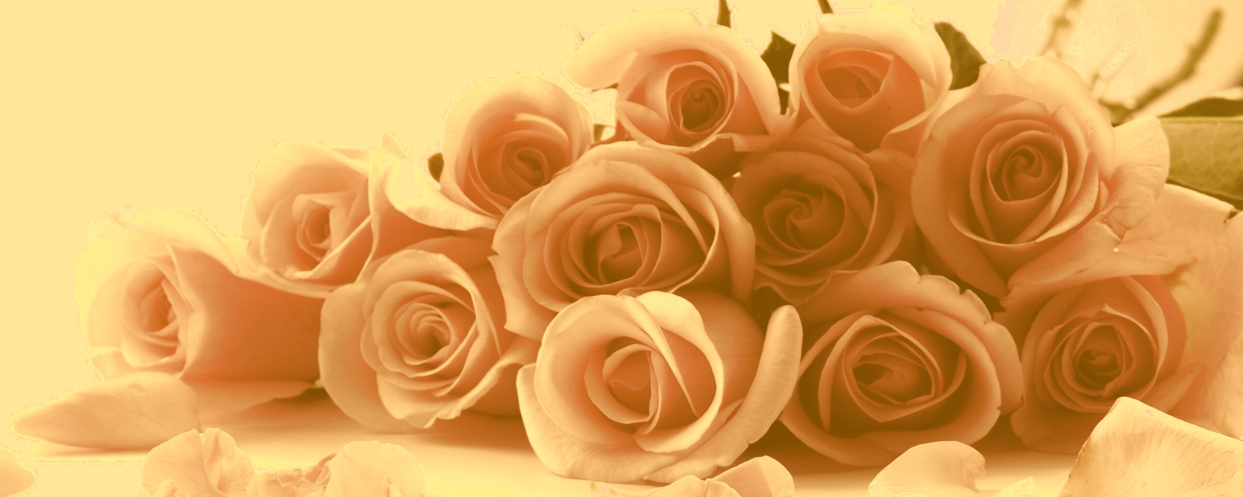 Букет роз обои