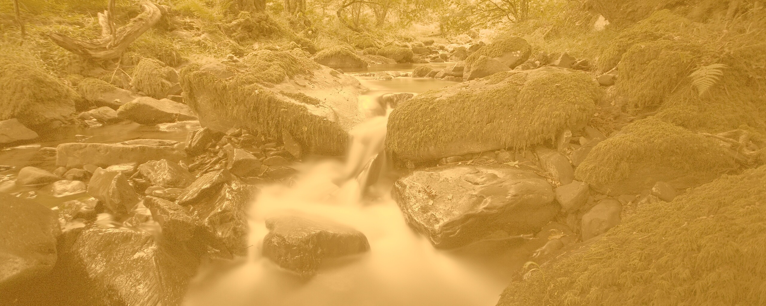Речной поток в лесу обои