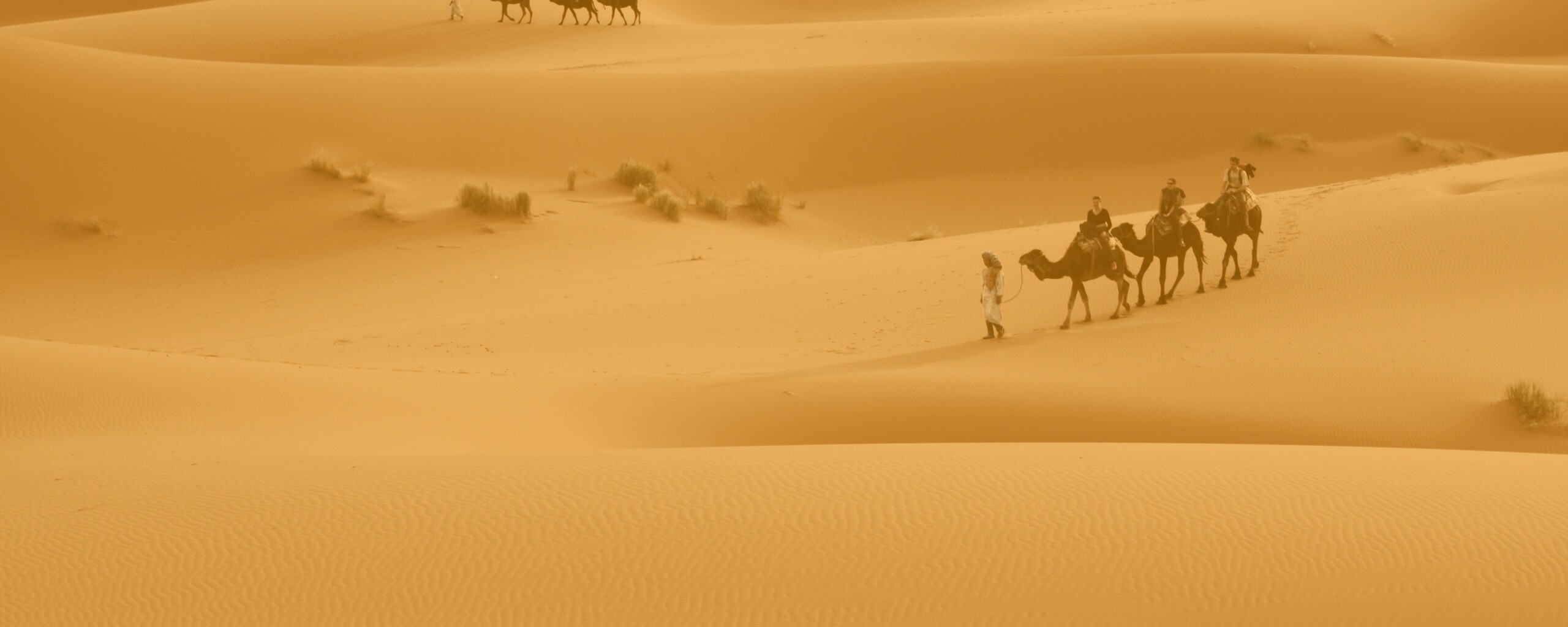 Караваны пустыни обои