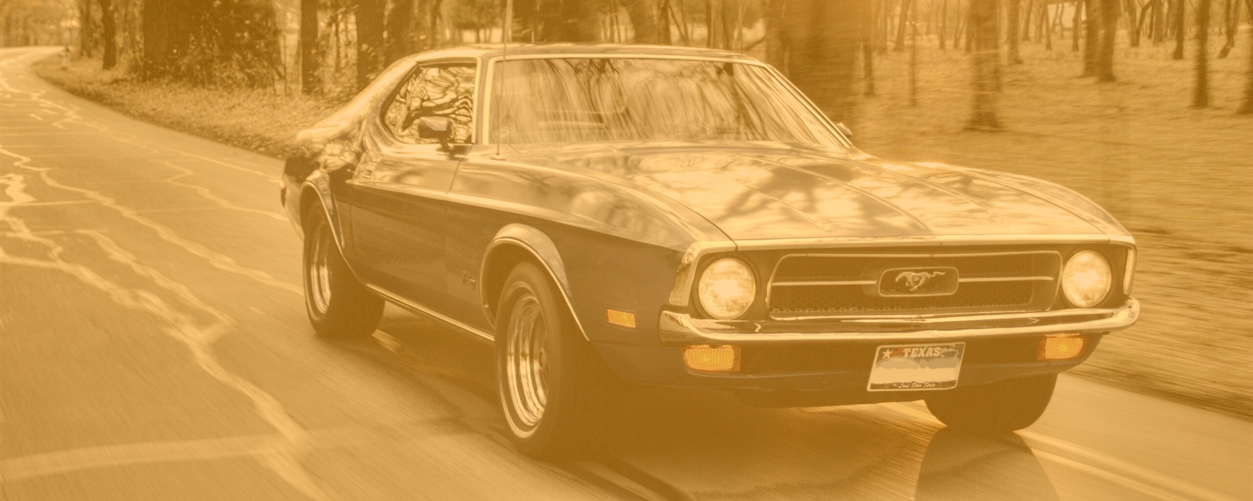 Мустанг обои