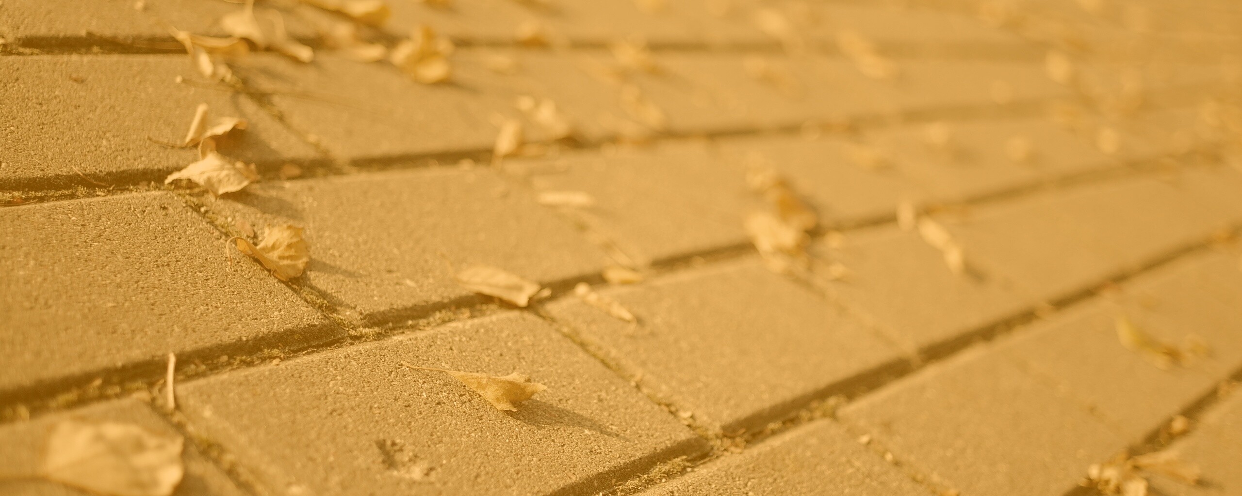 Тротуар обои