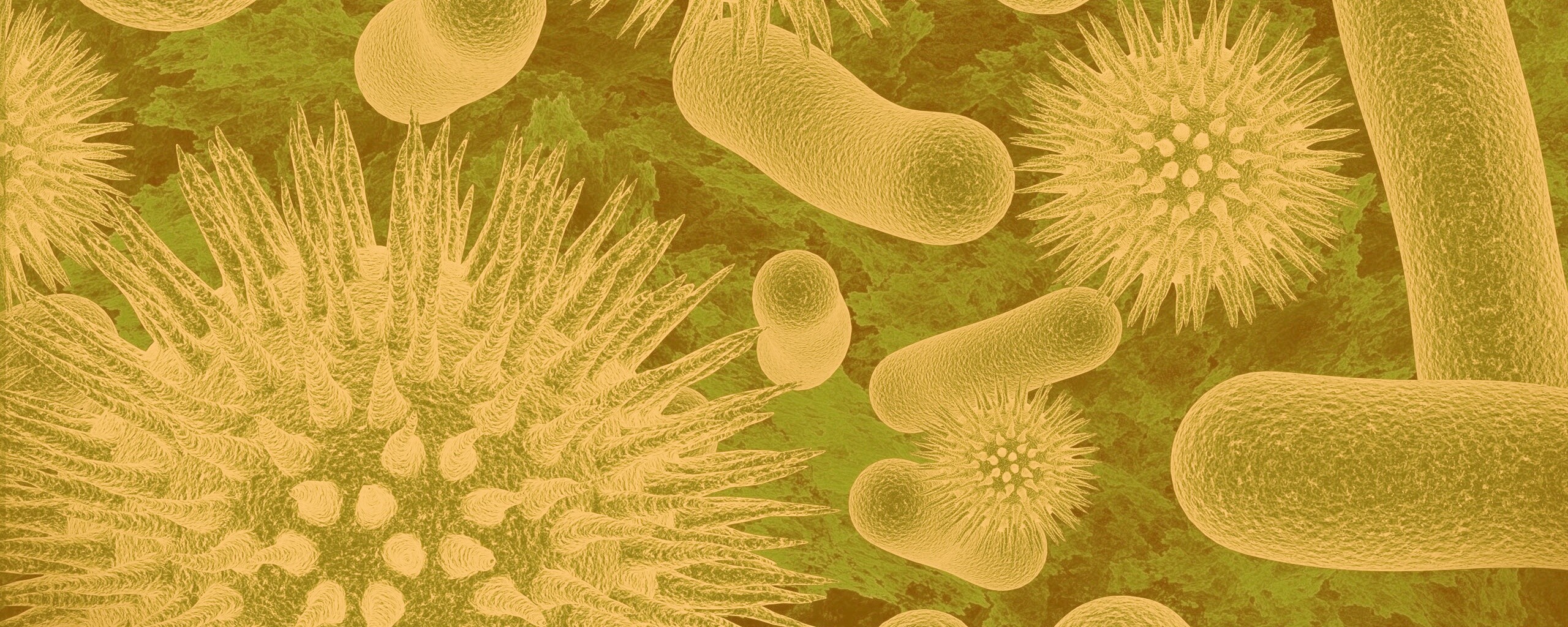 Бактерии обои