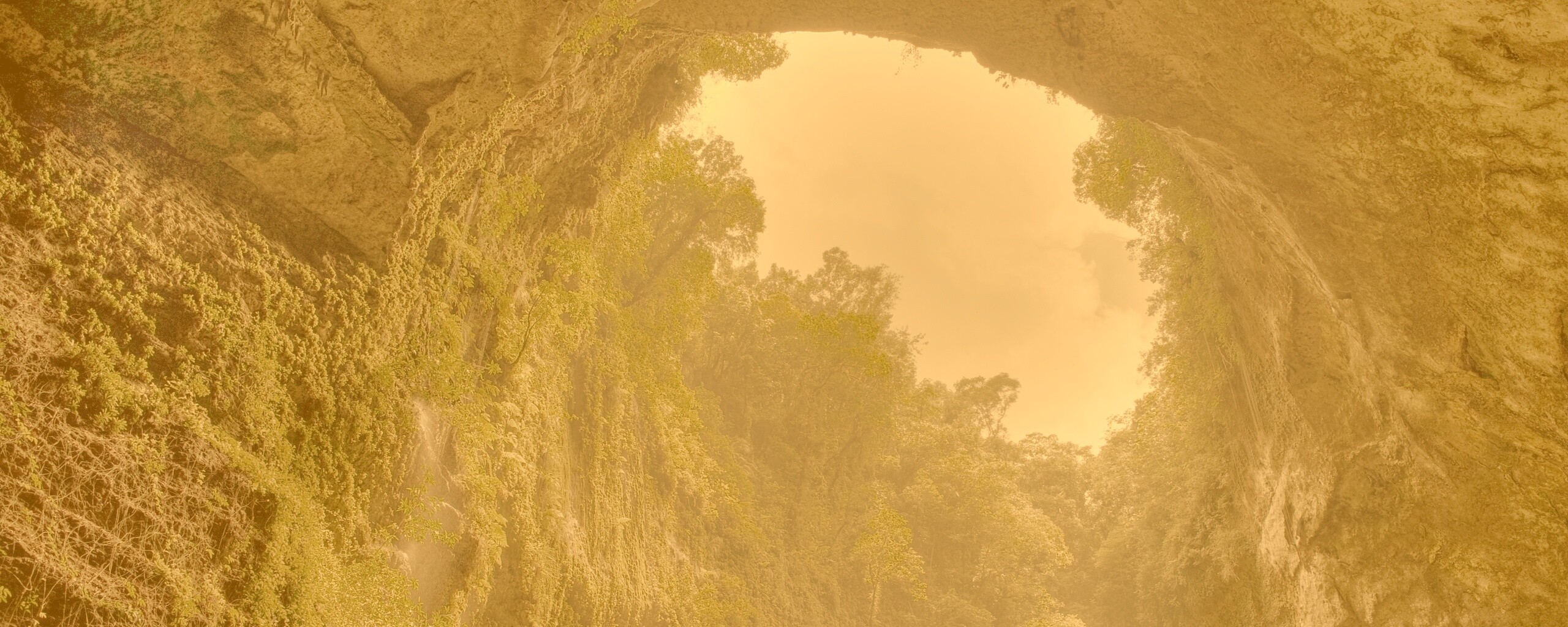 Заросшее ущелье обои