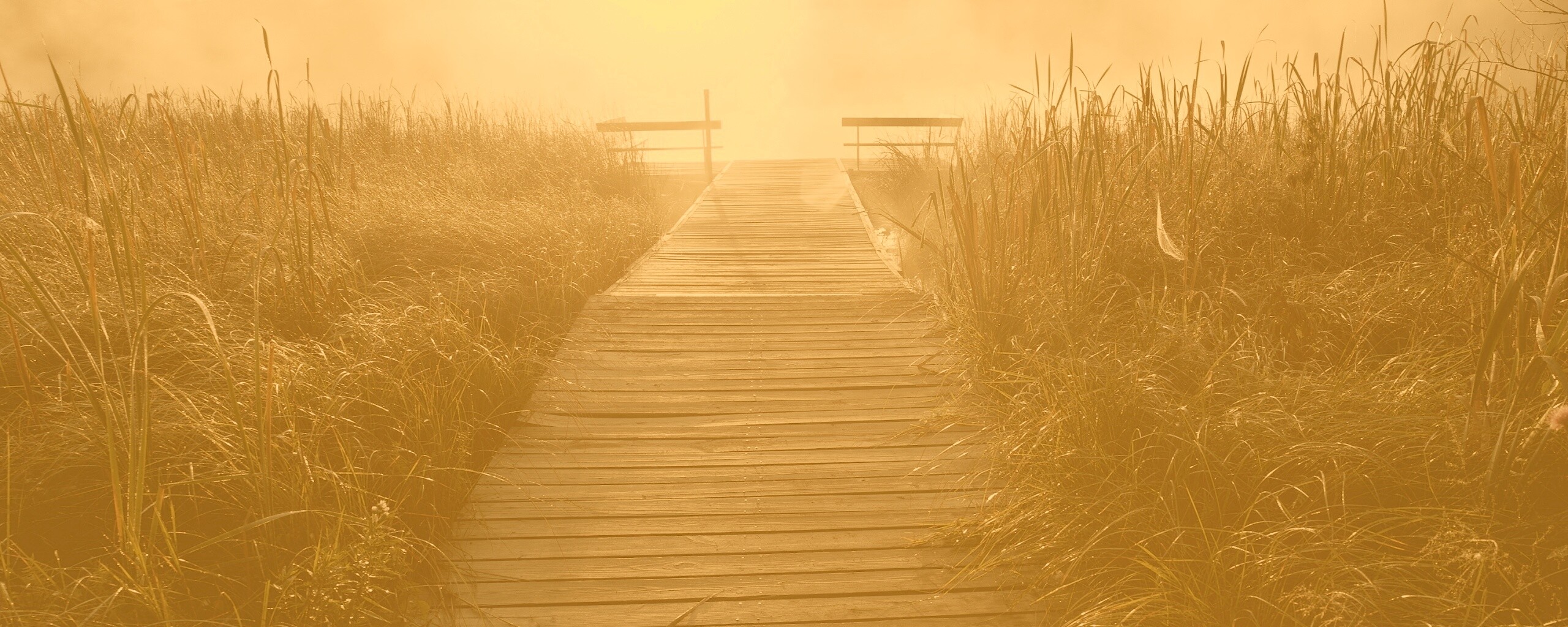 Выход к реке обои